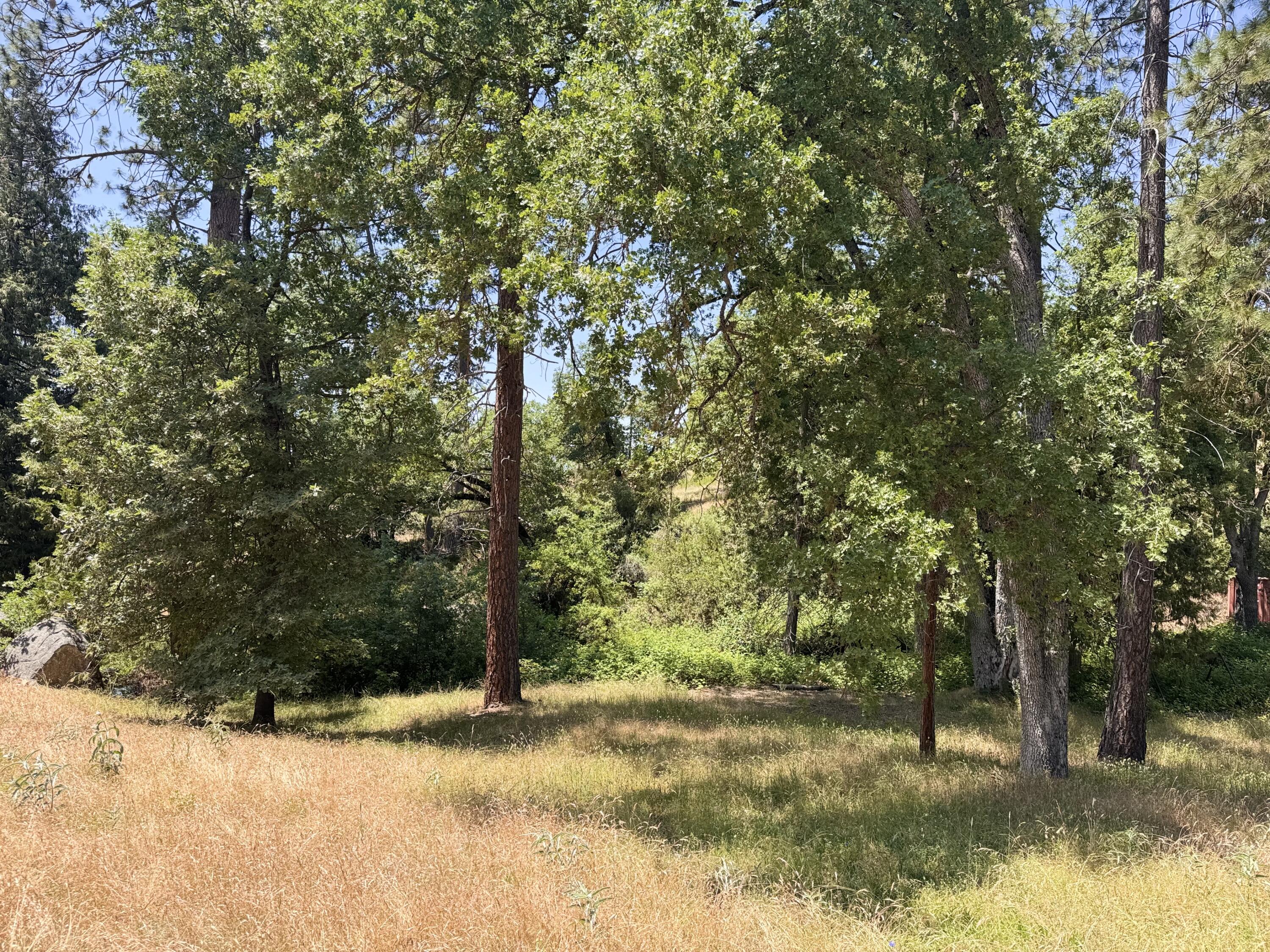 51911 Hogback Rd, Miramonte, CA 93641