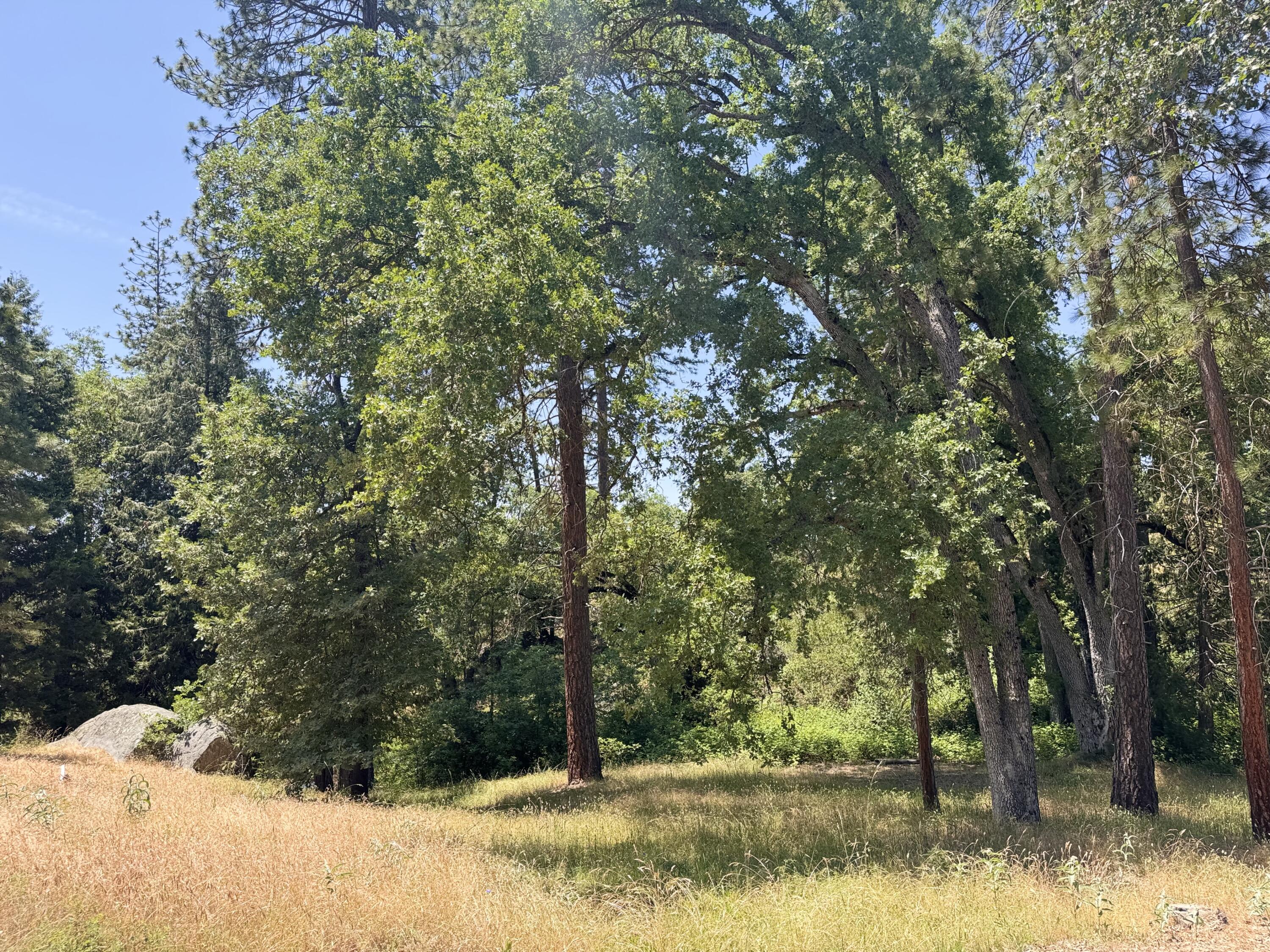 51911 Hogback Rd, Miramonte, CA 93641