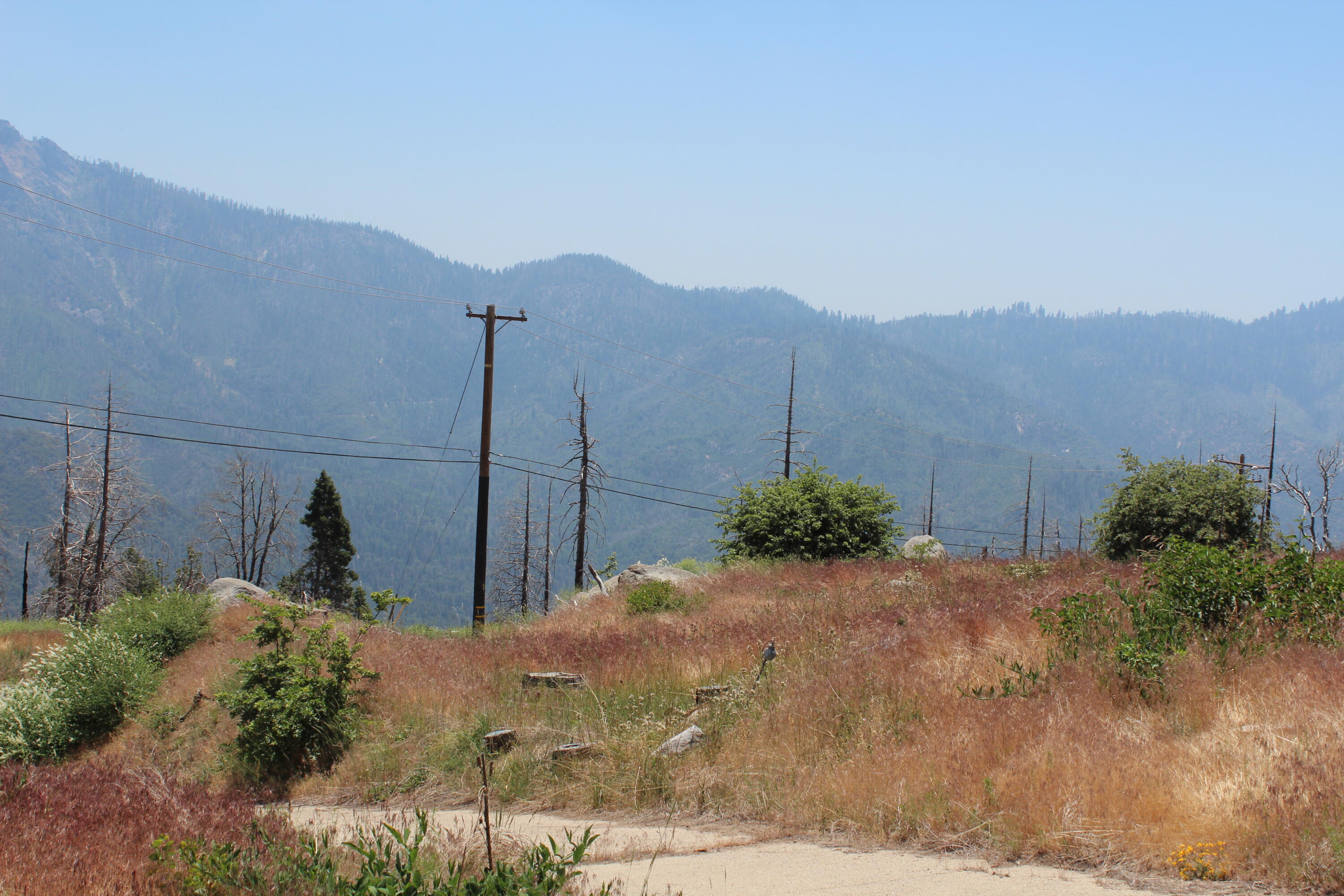 52954 Alpine Dr, Springville, CA 93265