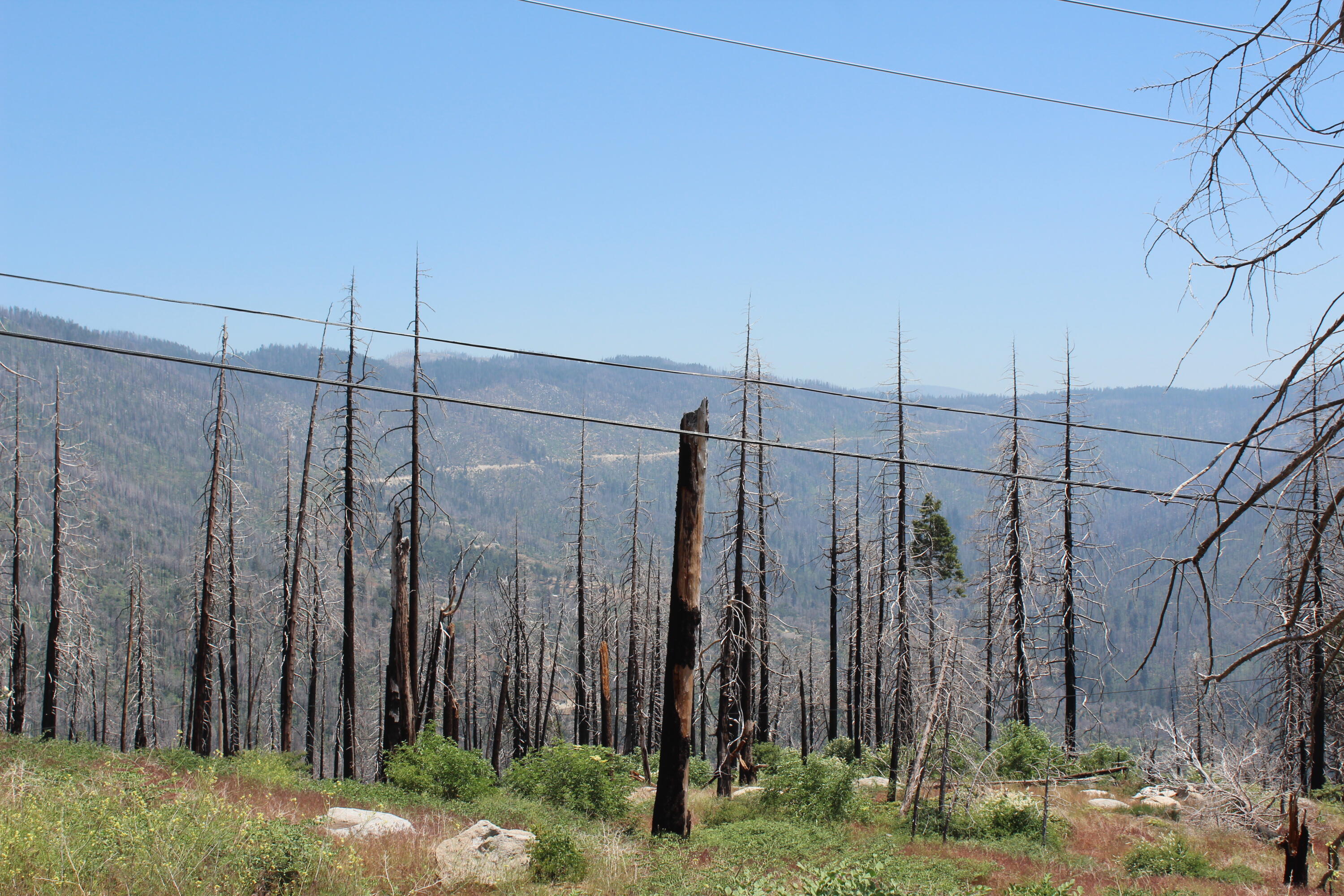 52954 Alpine Dr, Springville, CA 93265