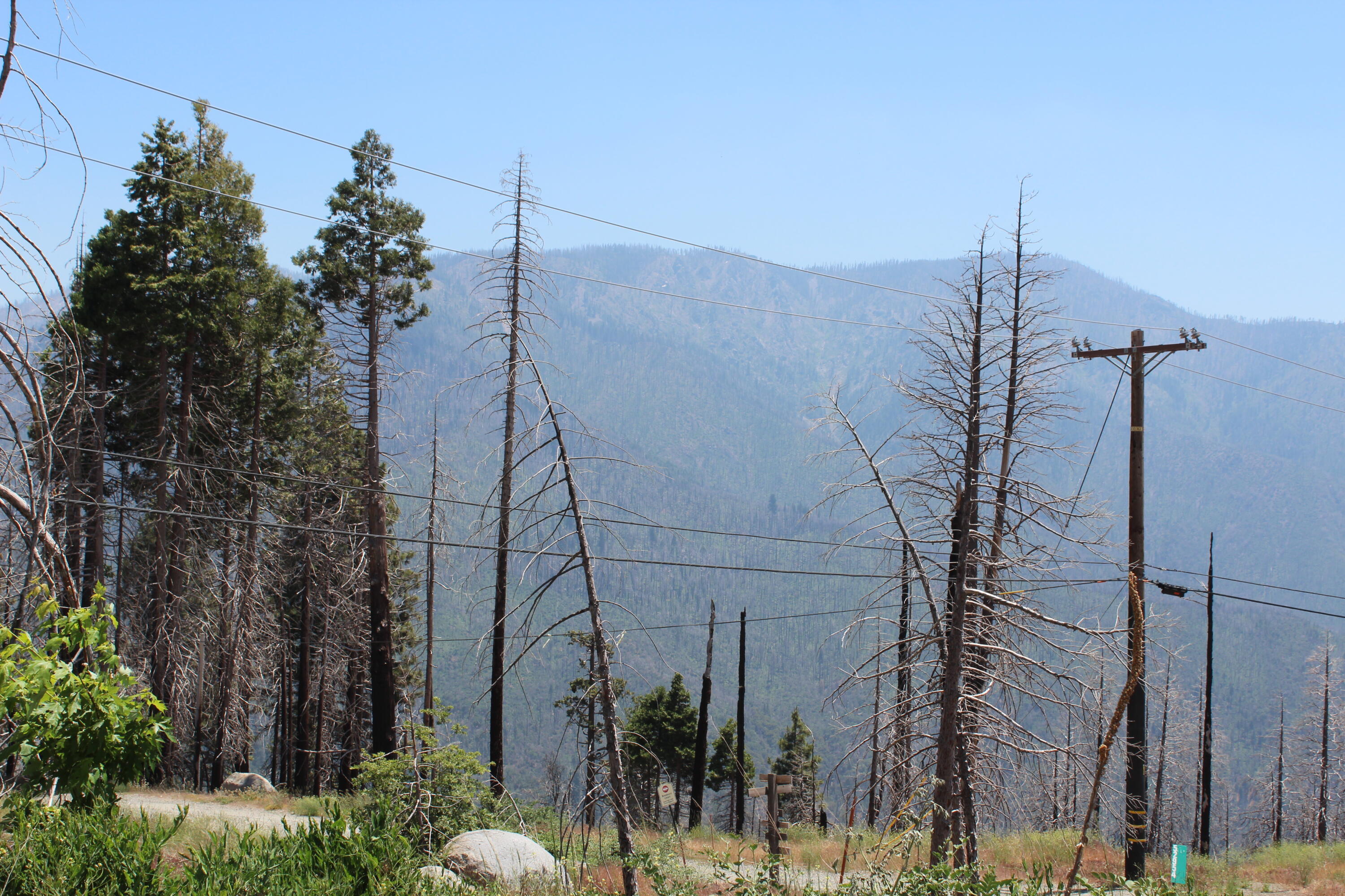 52954 Alpine Dr, Springville, CA 93265