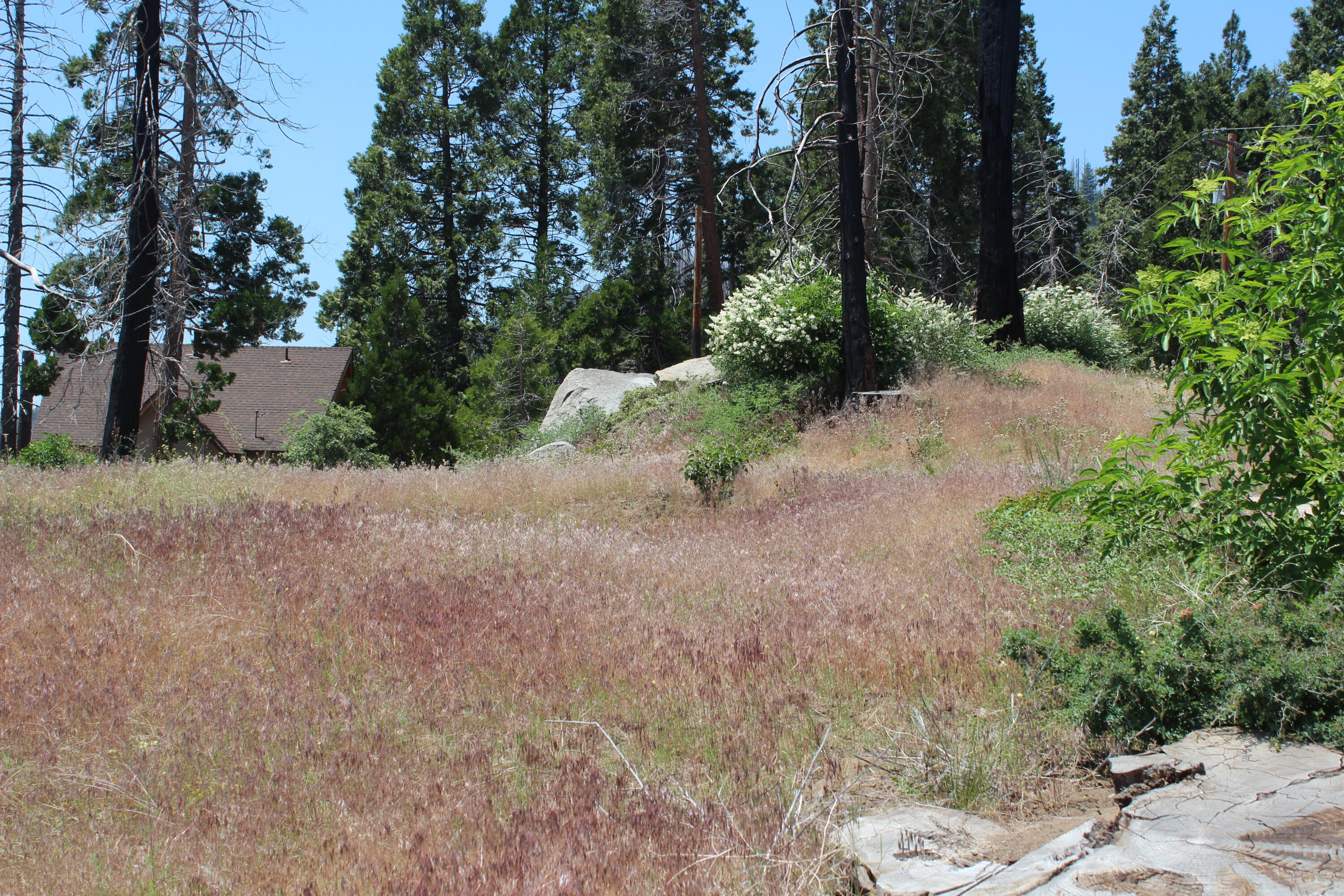 52954 Alpine Dr, Springville, CA 93265