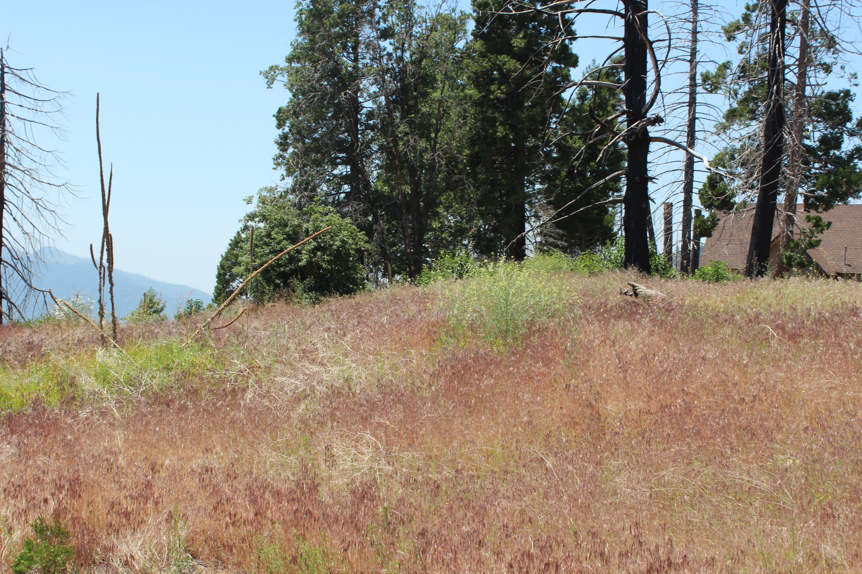 52954 Alpine Dr, Springville, CA 93265