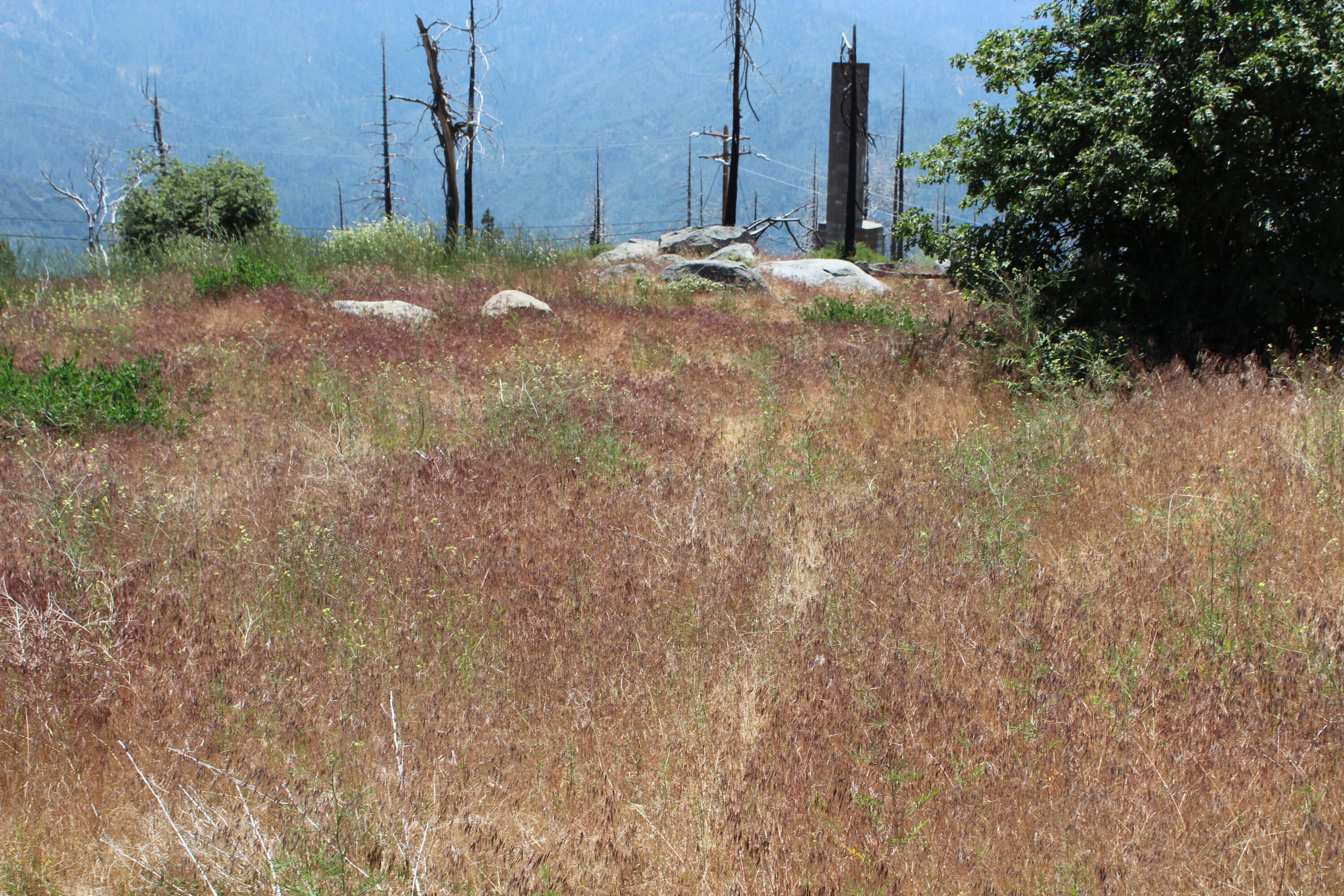 52954 Alpine Dr, Springville, CA 93265