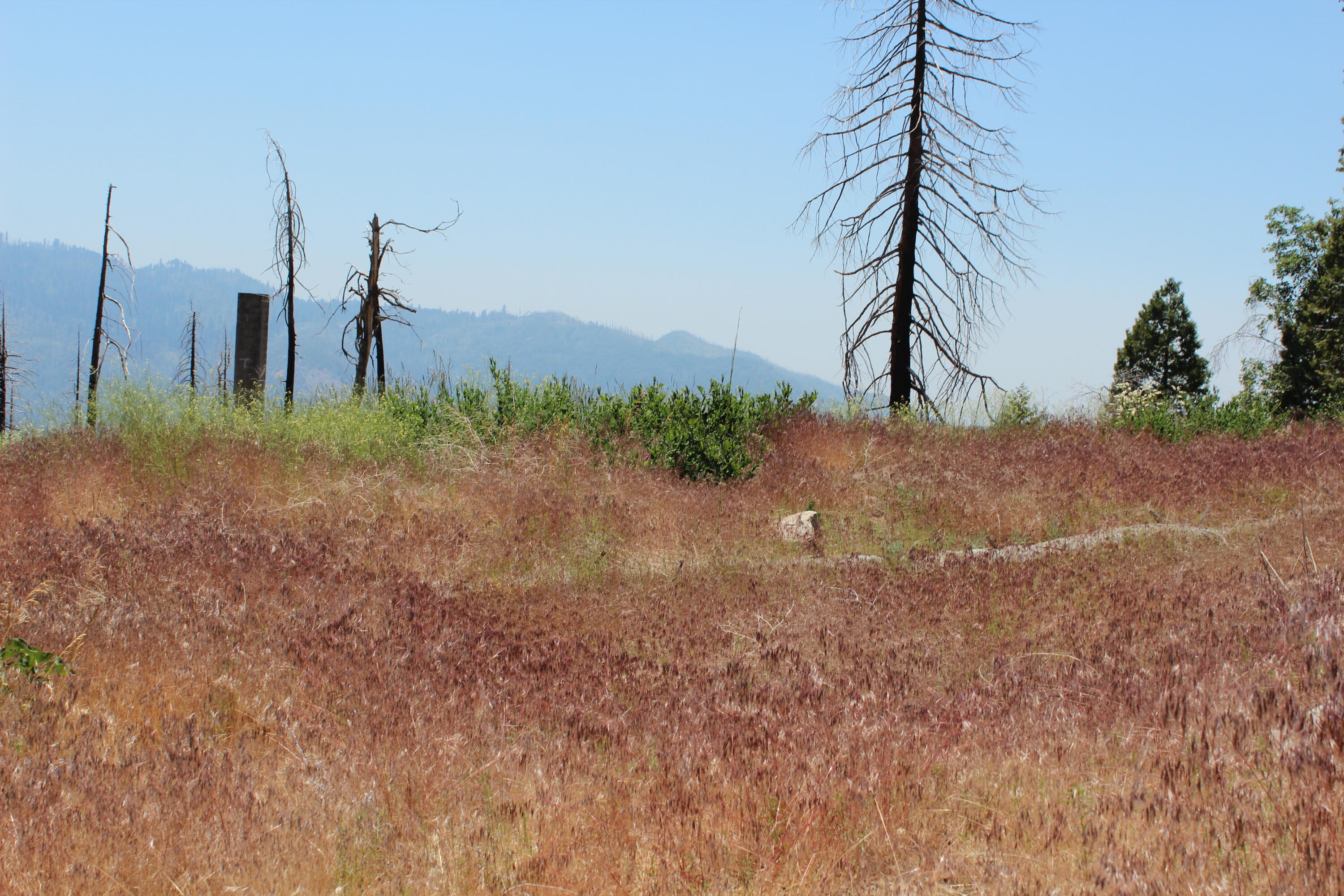 52954 Alpine Dr, Springville, CA 93265