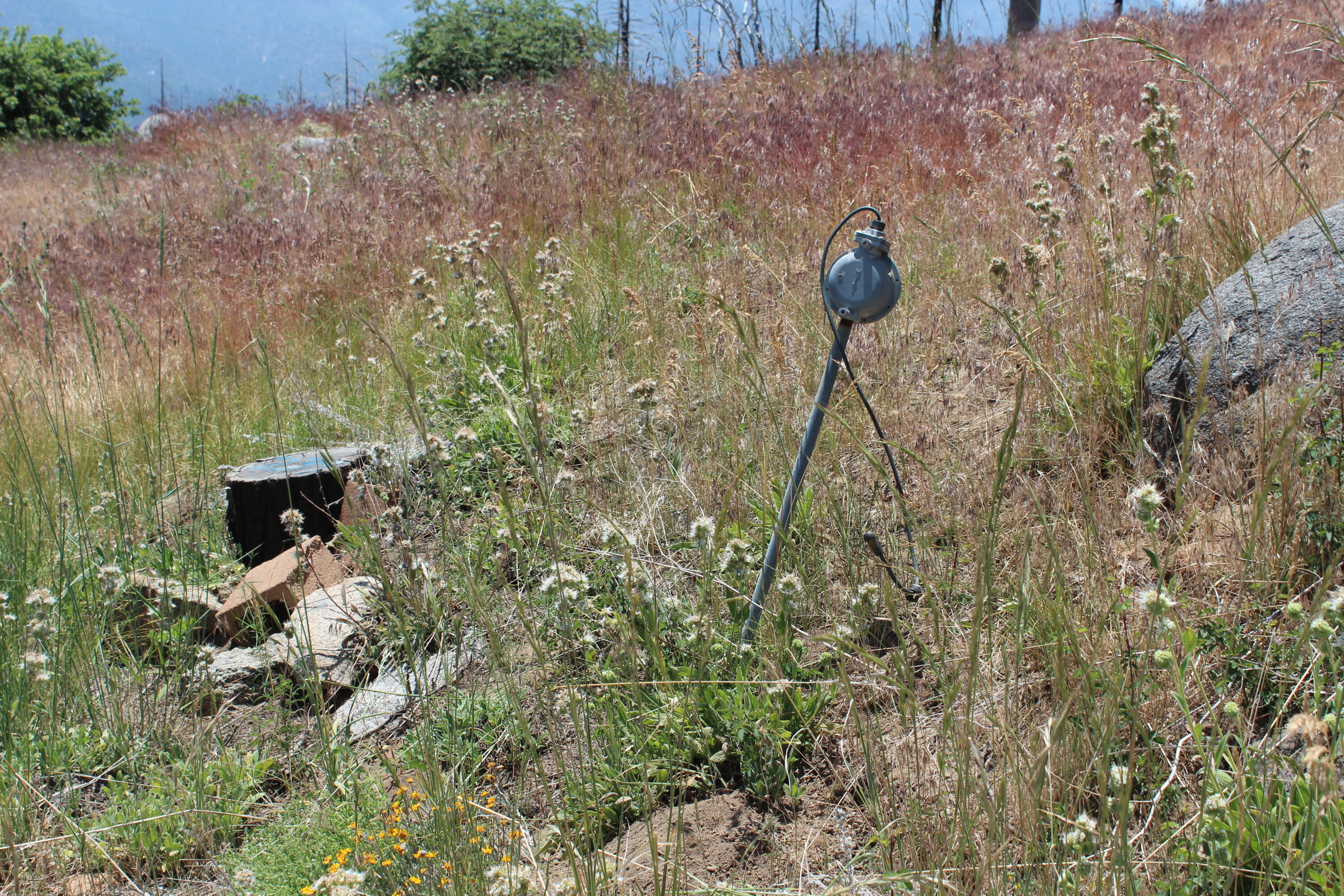 52954 Alpine Dr, Springville, CA 93265