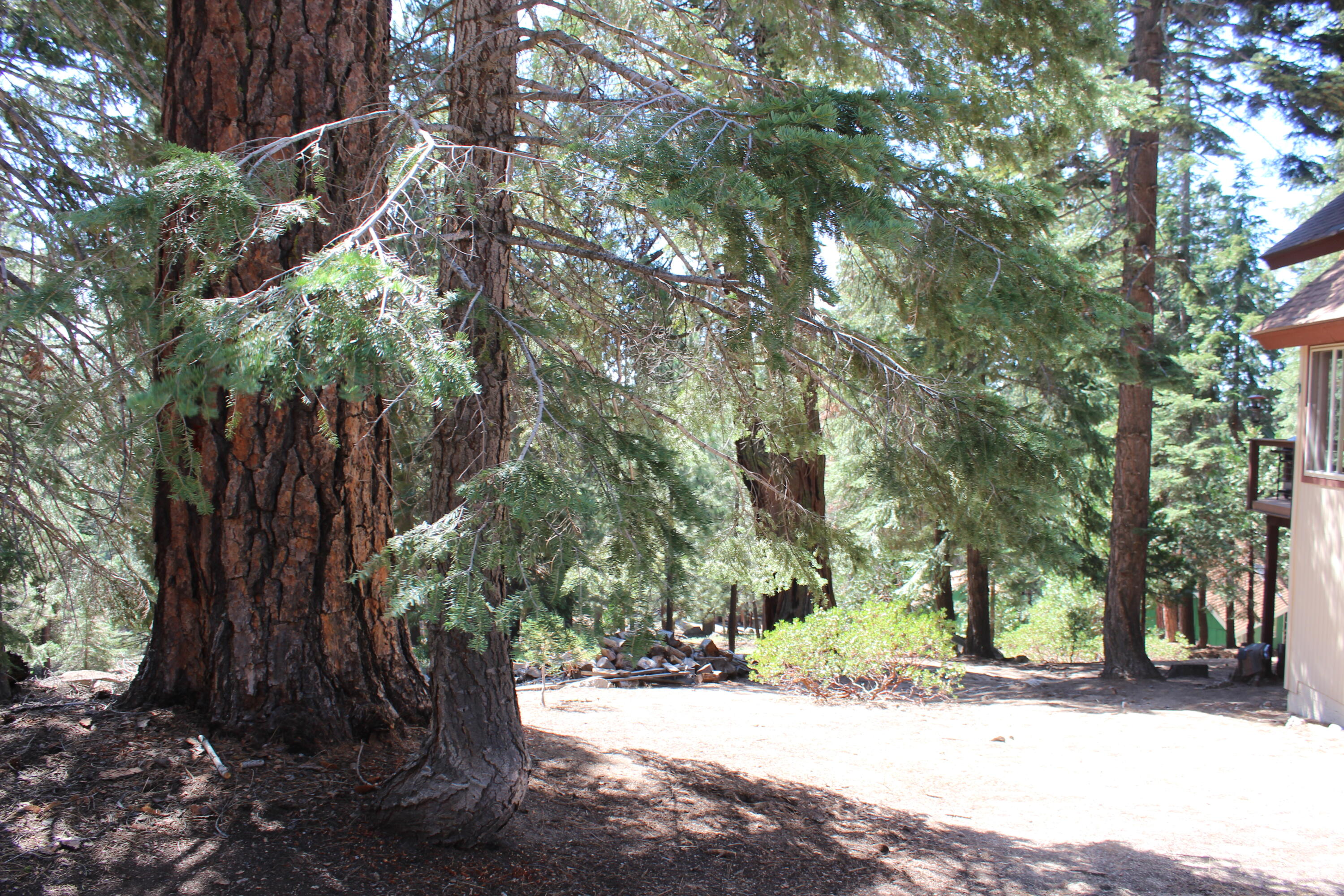 57910 Peppermint Dr, Ponderosa, CA 93265