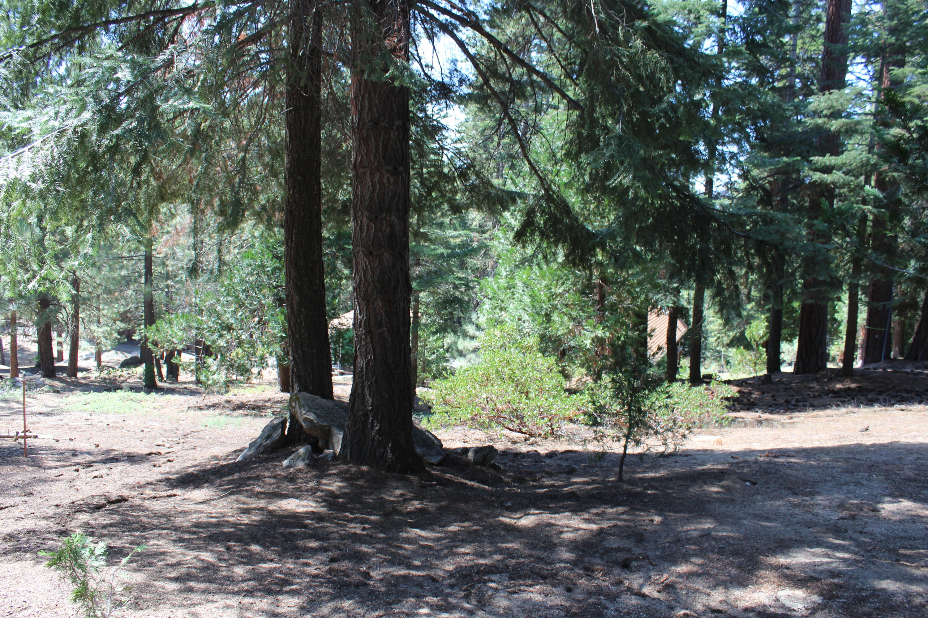 57910 Peppermint Dr, Ponderosa, CA 93265