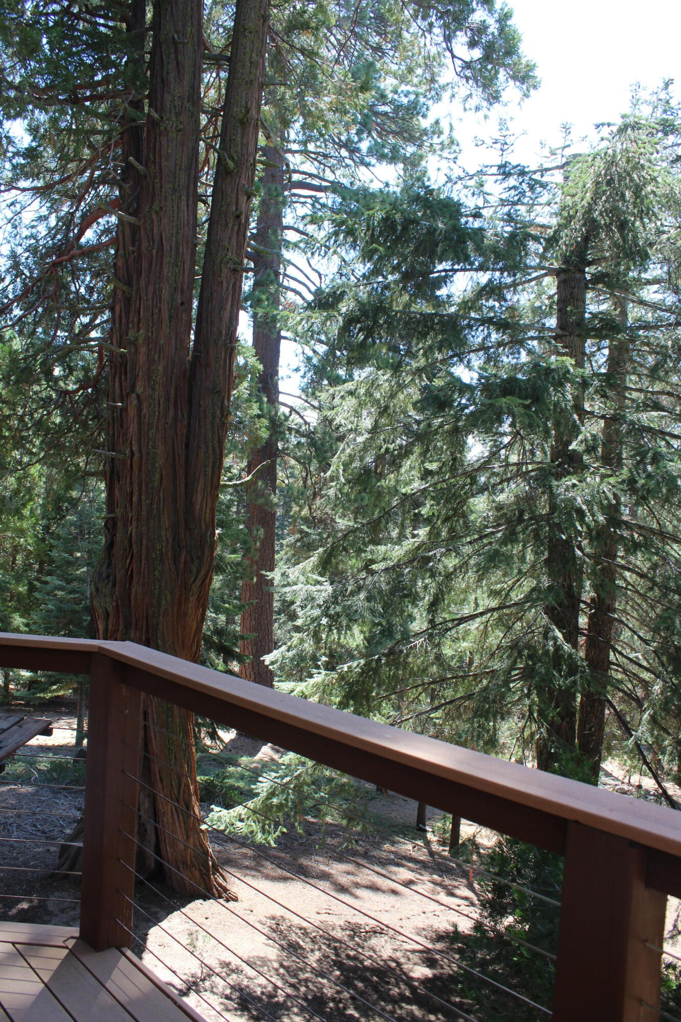 57910 Peppermint Dr, Ponderosa, CA 93265