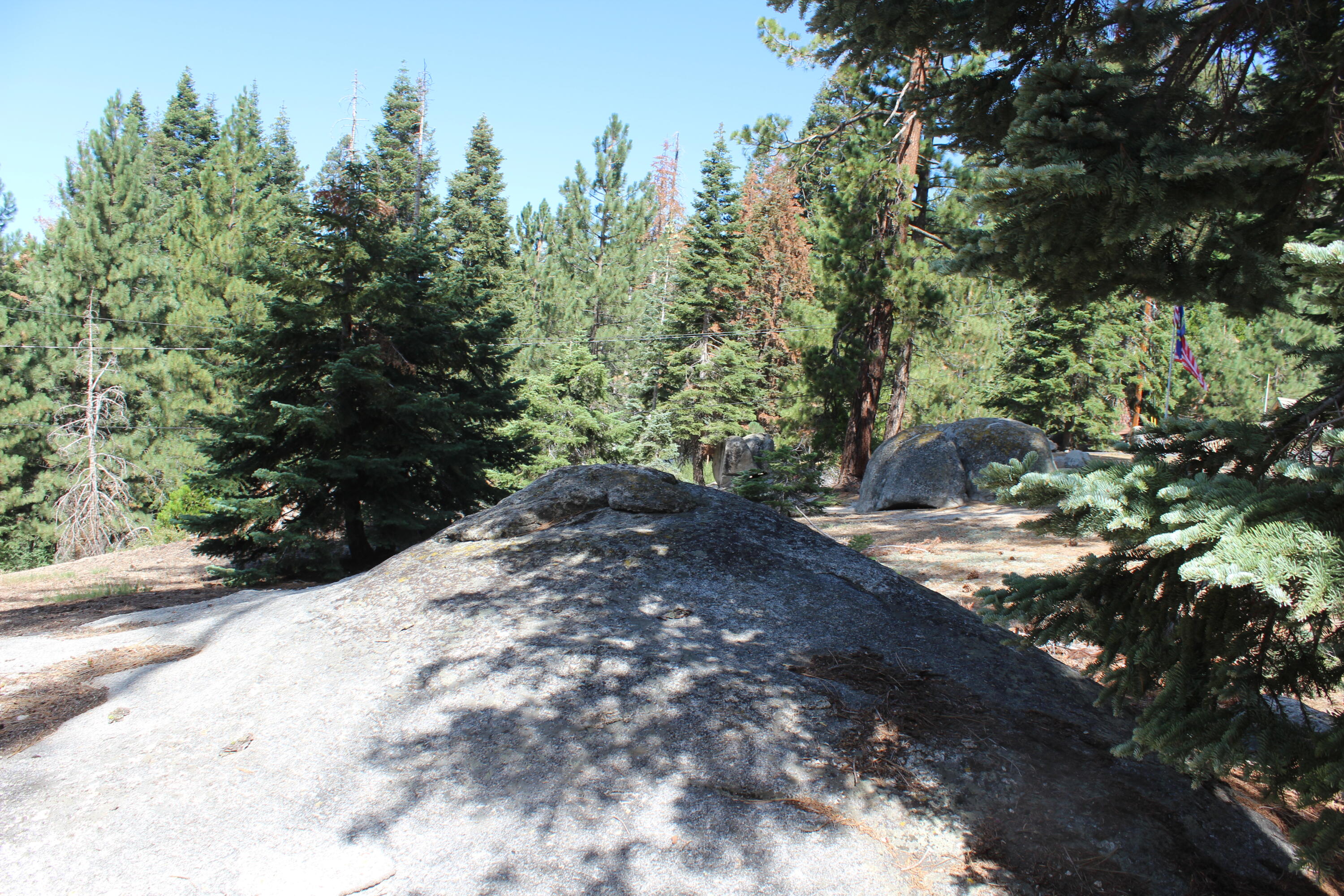 57910 Peppermint Dr, Ponderosa, CA 93265