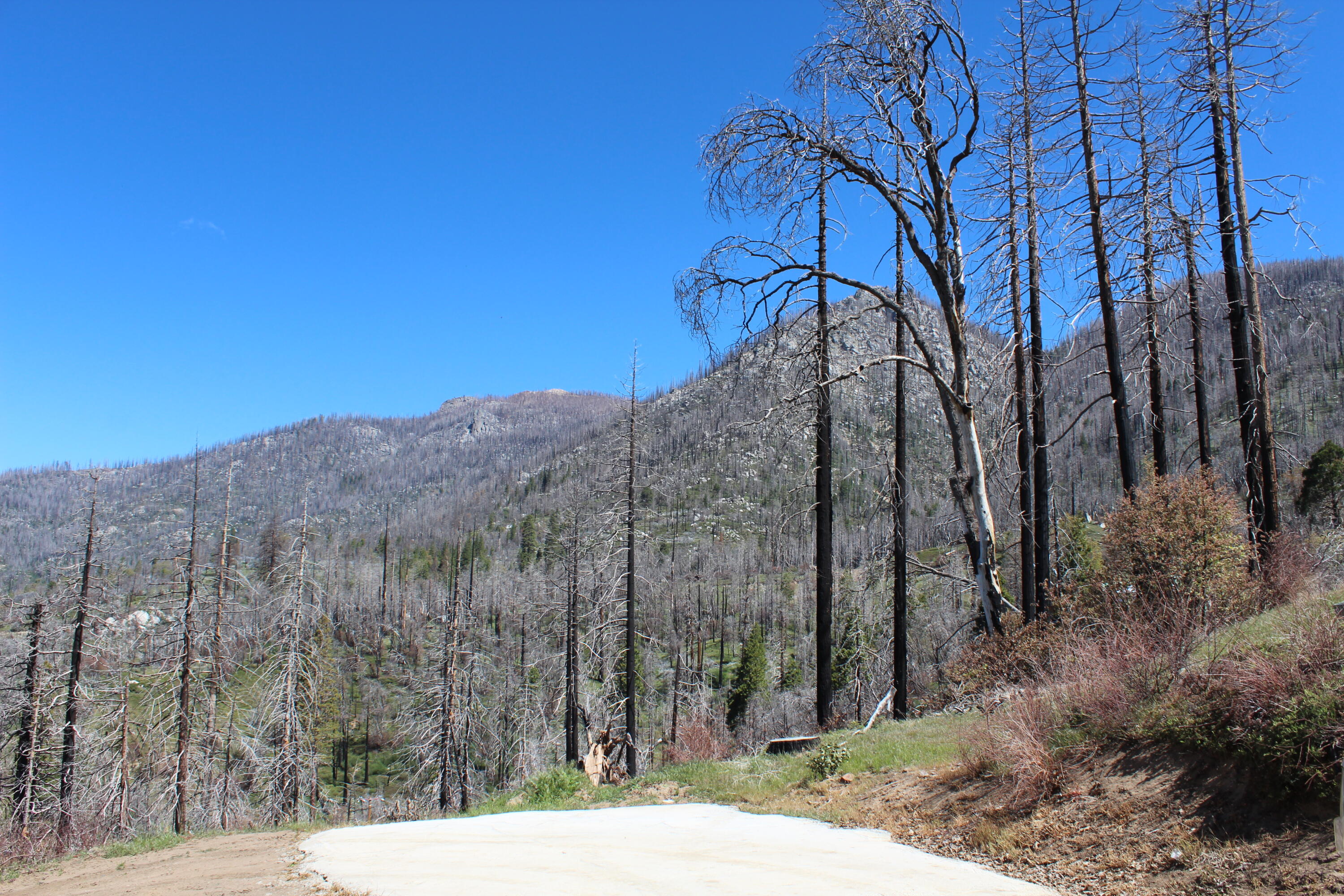 52263 Ponderosa Dr, Cedar Slope, CA 93265