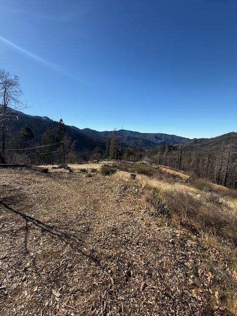 52263 Ponderosa Dr, Cedar Slope, CA 93265