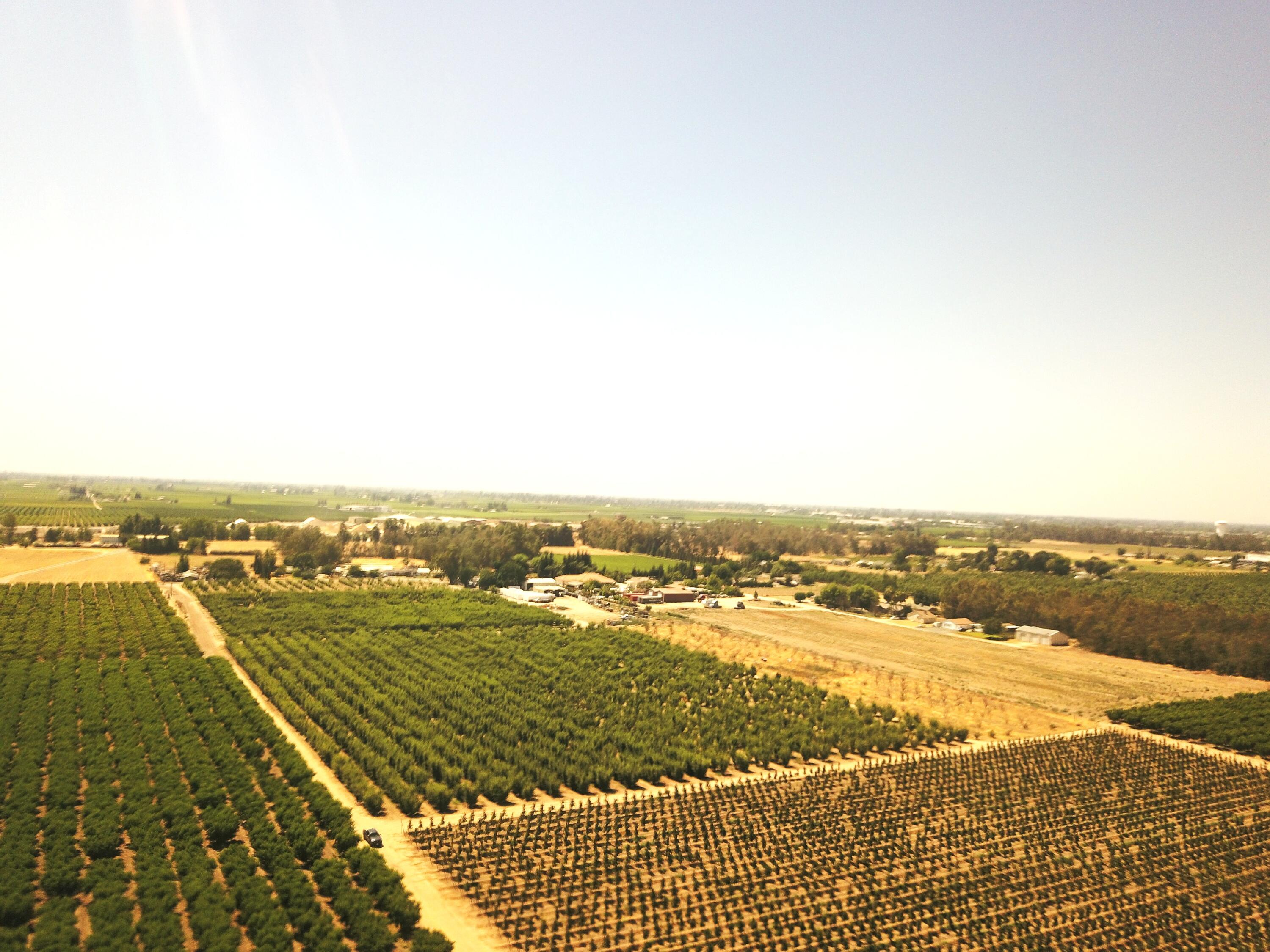 42682 Rd 72, Dinuba, CA 93618