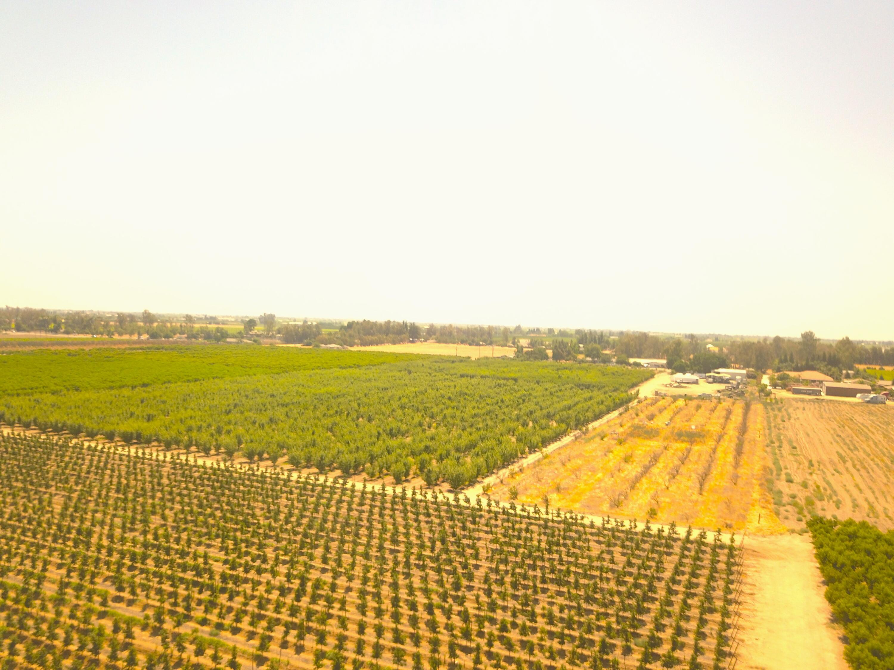 42682 Rd 72, Dinuba, CA 93618