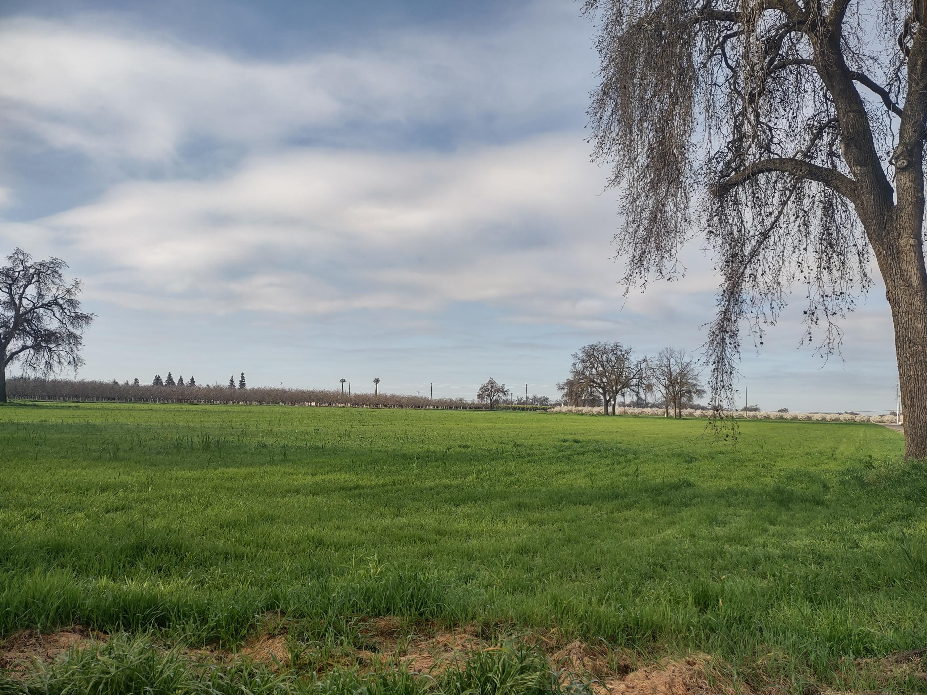 0 Lovers Ln, Visalia, CA 93292