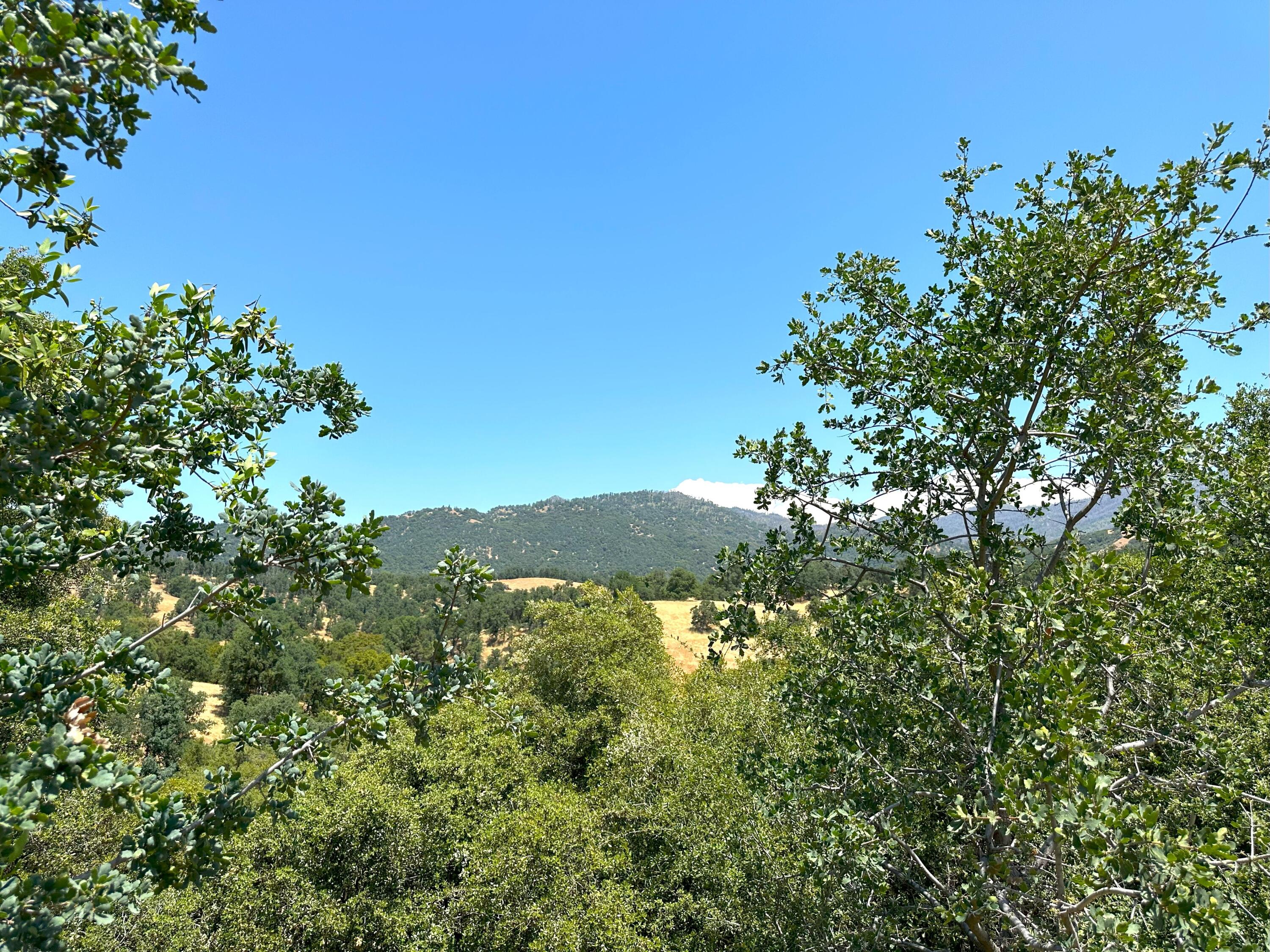 42909 Capanero Oaks Ct, California Hot Springs, CA 93207