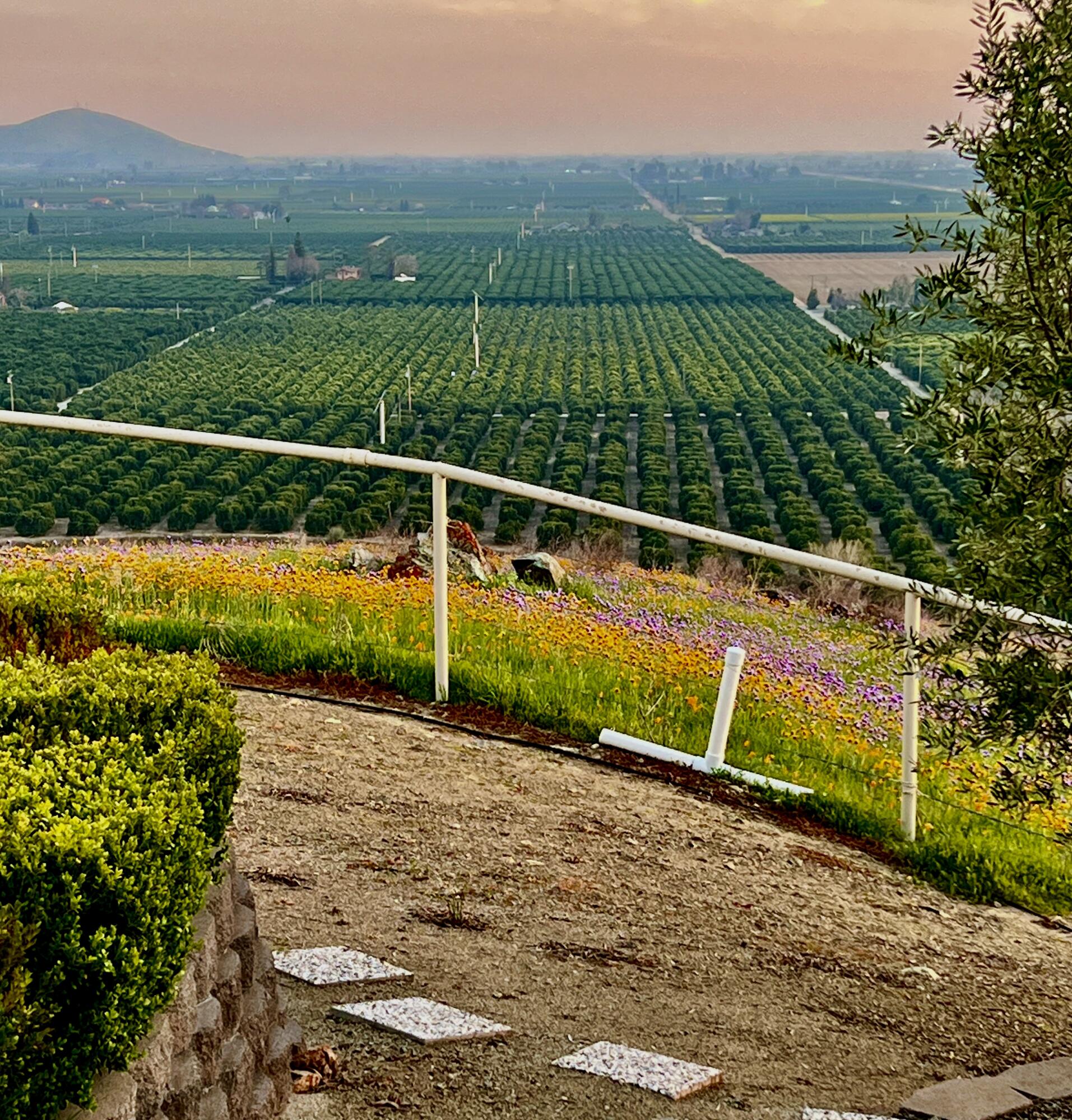 23124 Round Valley Dr, Lindsay, CA 93247