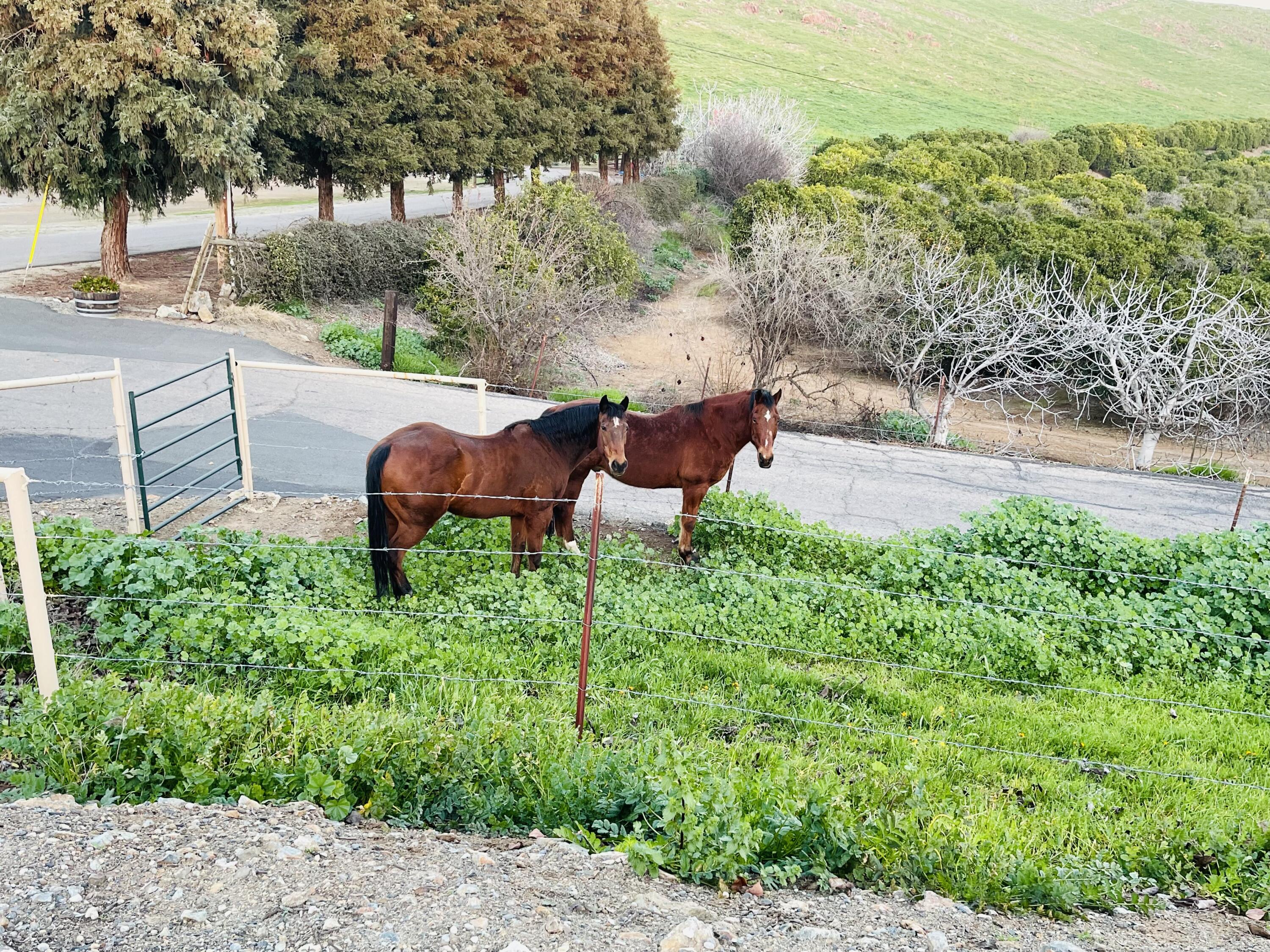 23124 Round Valley Dr, Lindsay, CA 93247