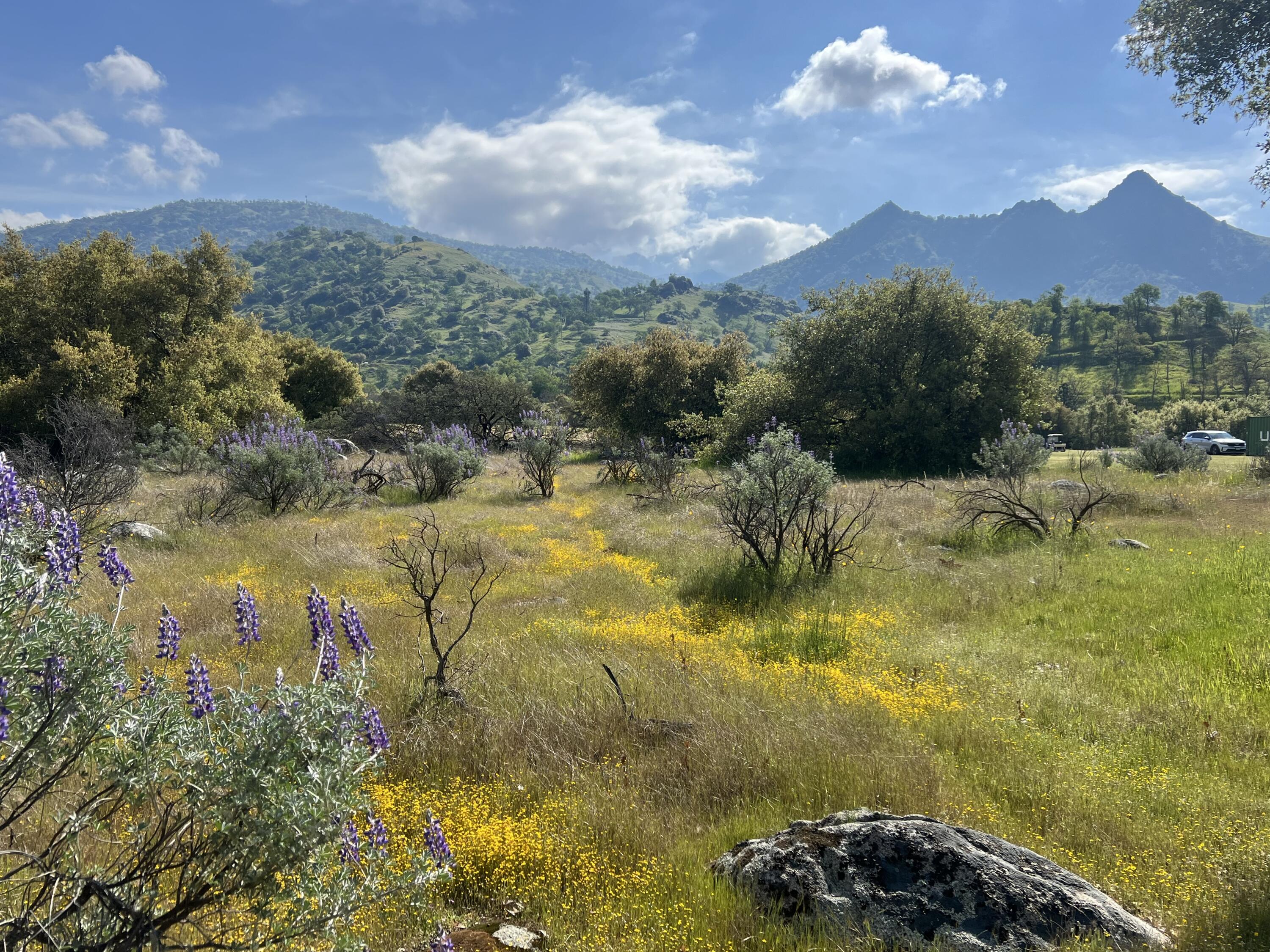 0 Sierra Dr, Three Rivers, CA 93271