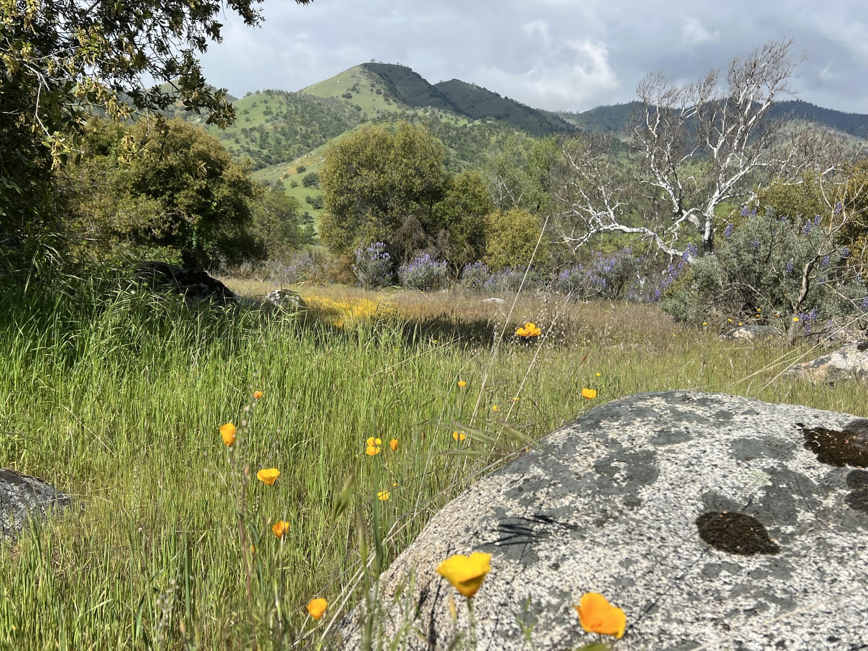 0 Sierra Dr, Three Rivers, CA 93271