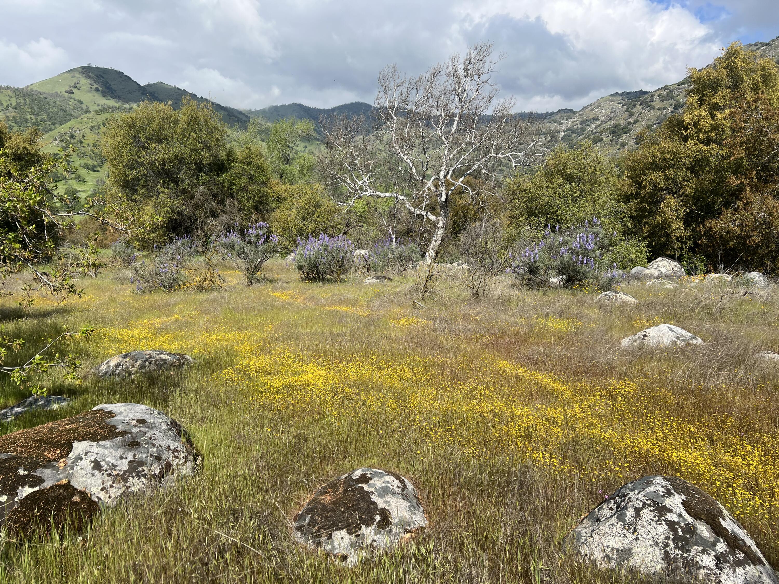 0 Sierra Dr, Three Rivers, CA 93271