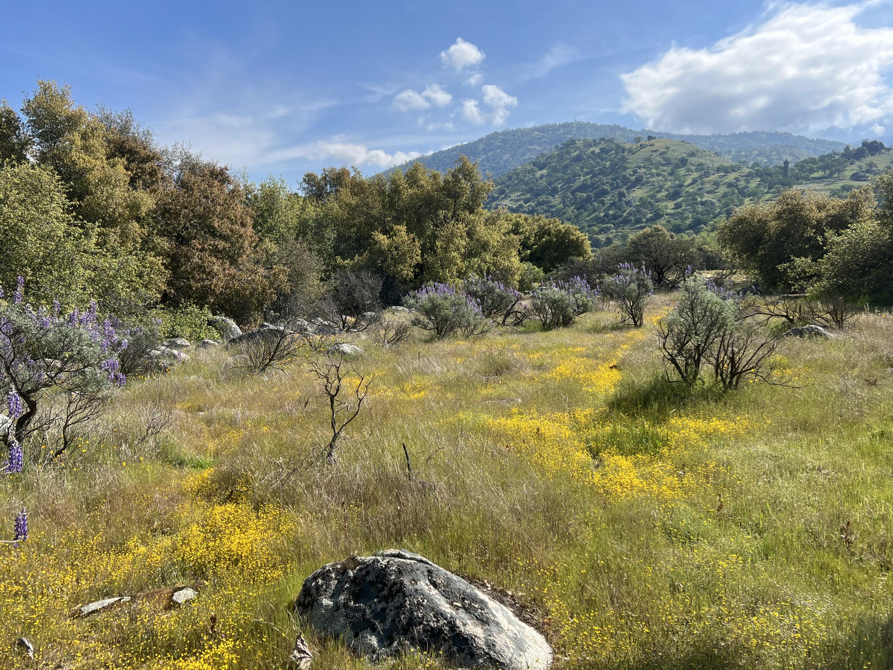 0 Sierra Dr, Three Rivers, CA 93271