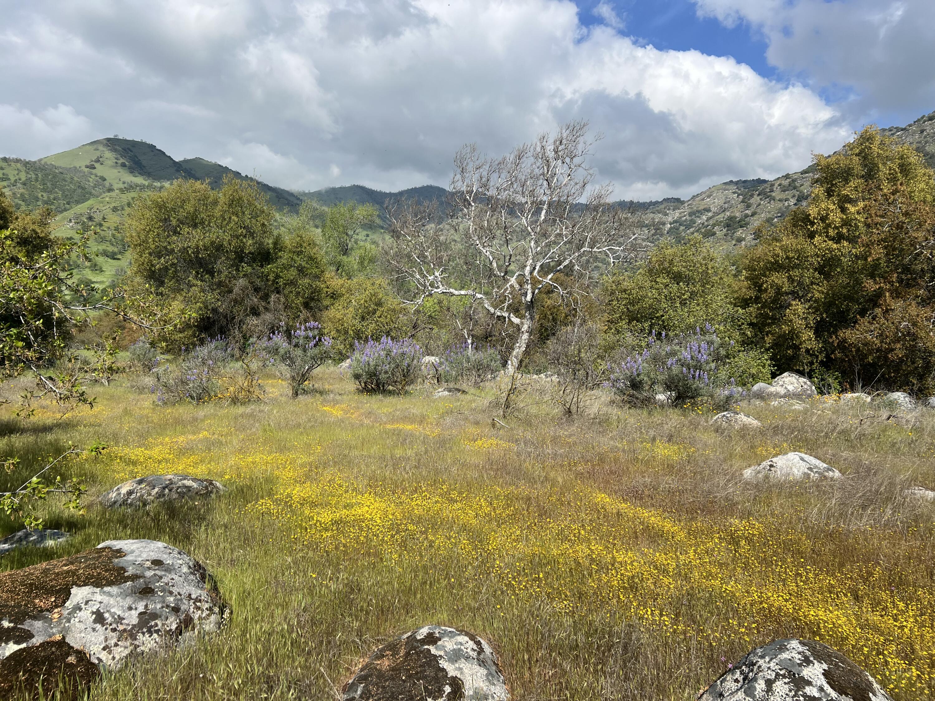 0 Sierra Dr, Three Rivers, CA 93271