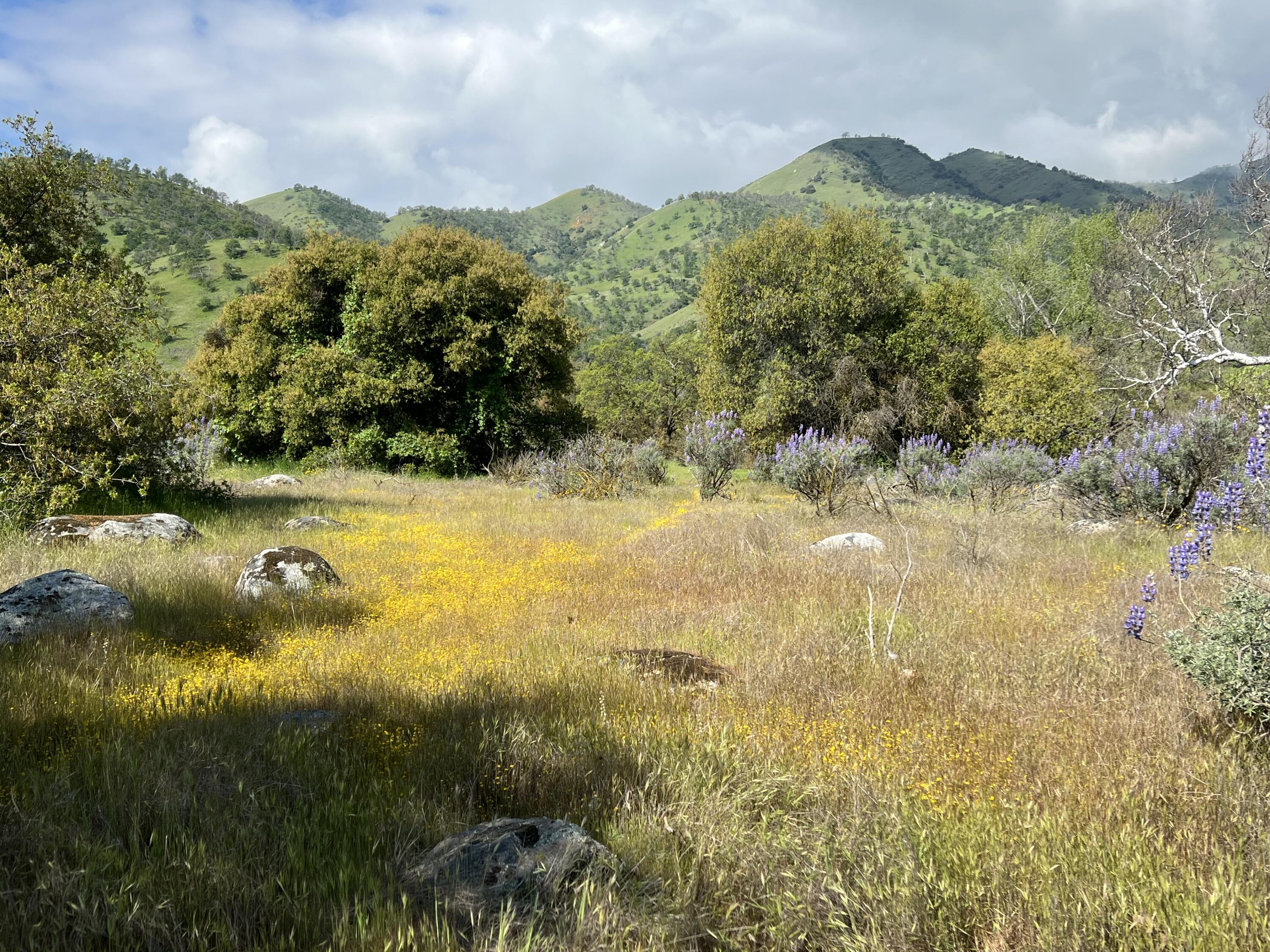 0 Sierra Dr, Three Rivers, CA 93271