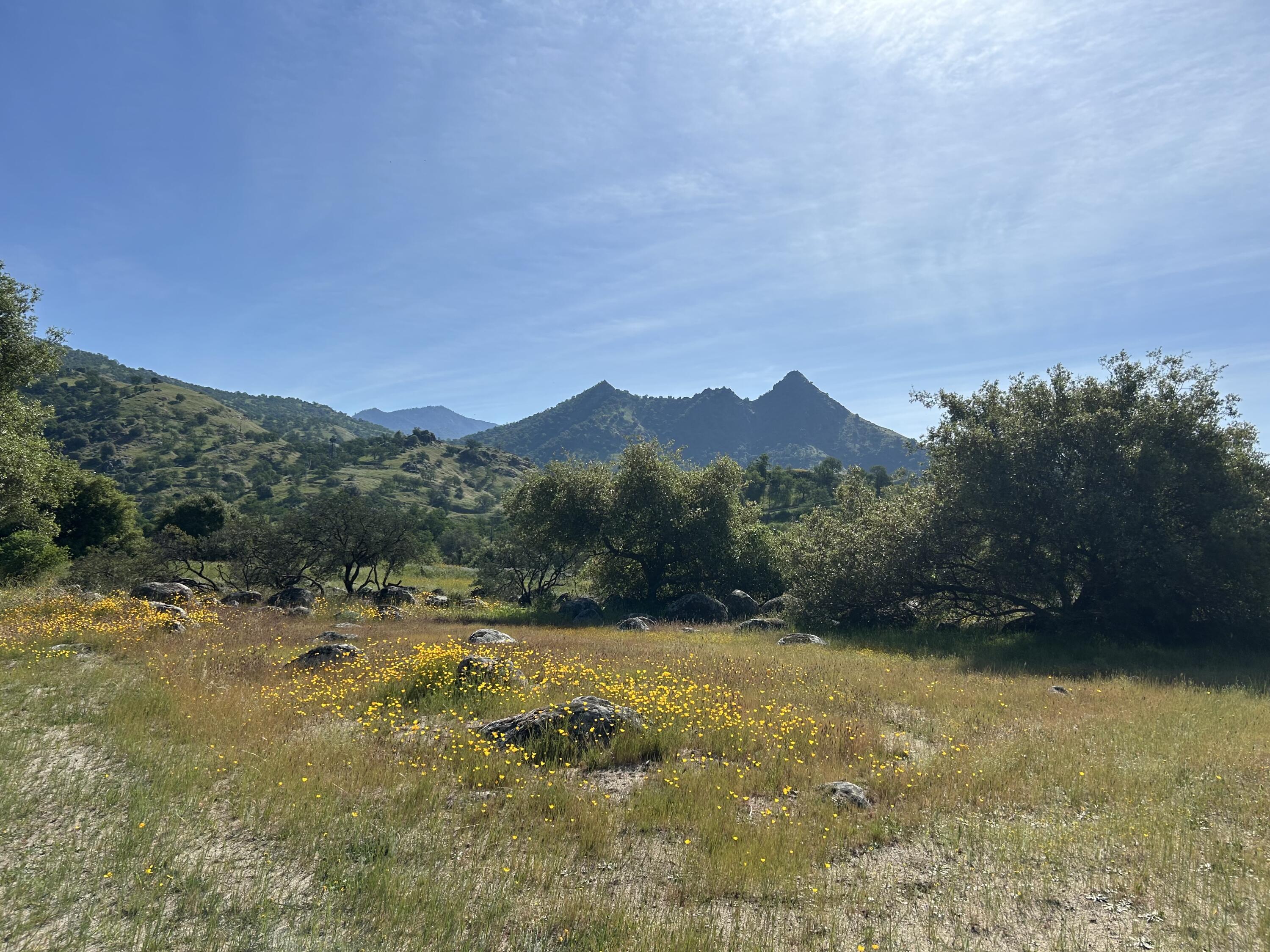 0 Sierra Dr, Three Rivers, CA 93271