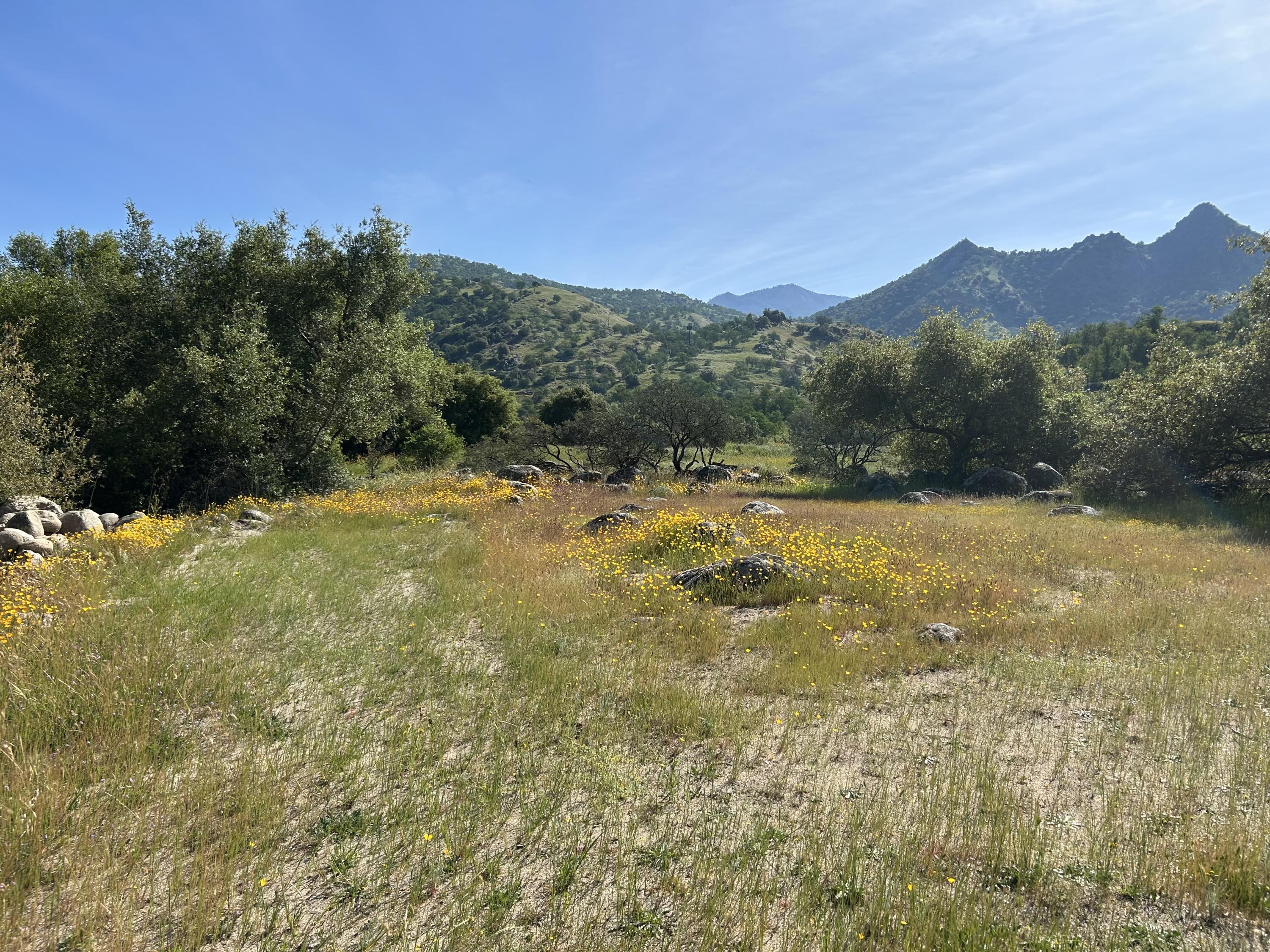0 Sierra Dr, Three Rivers, CA 93271