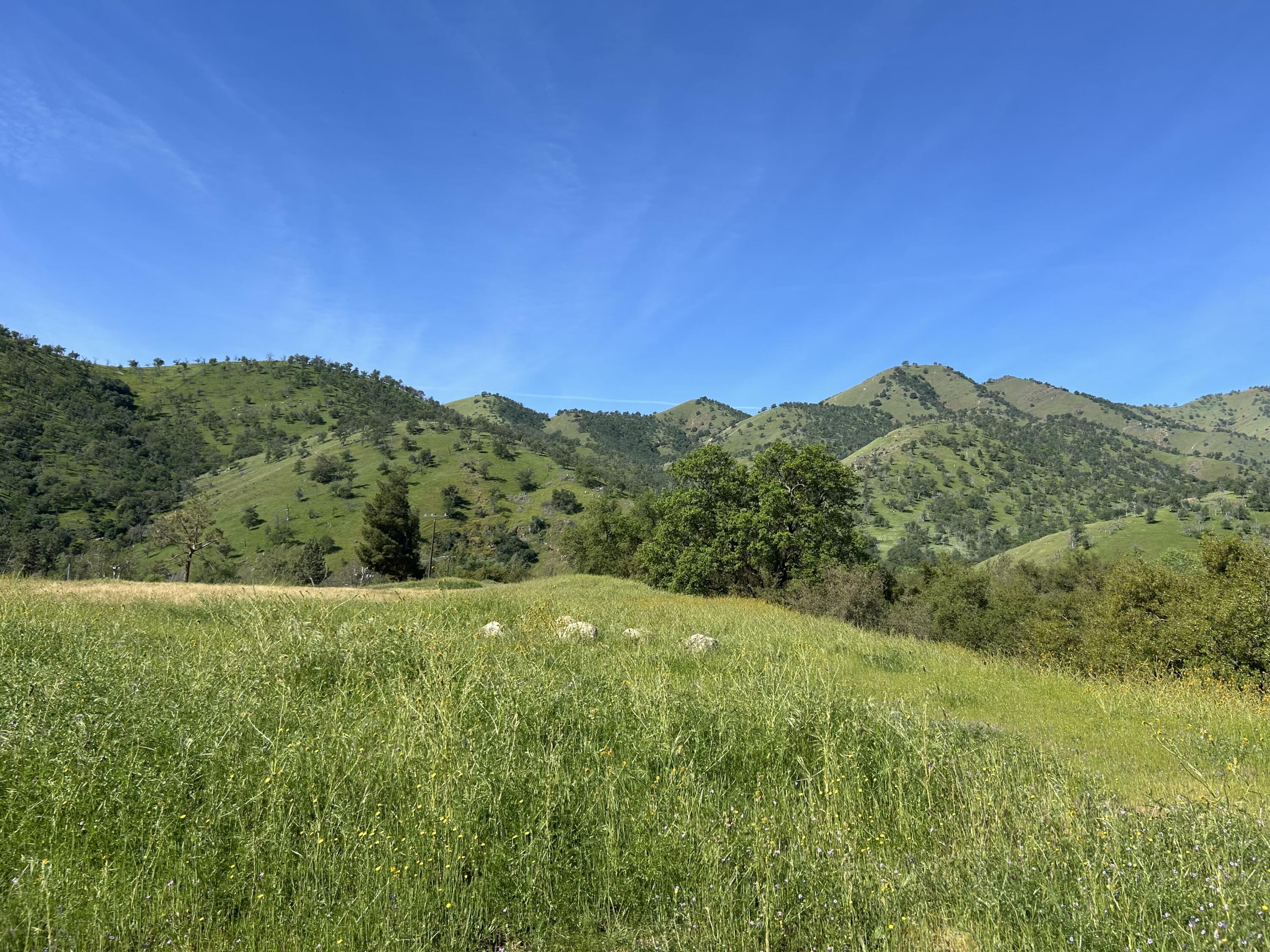0 Sierra Dr, Three Rivers, CA 93271