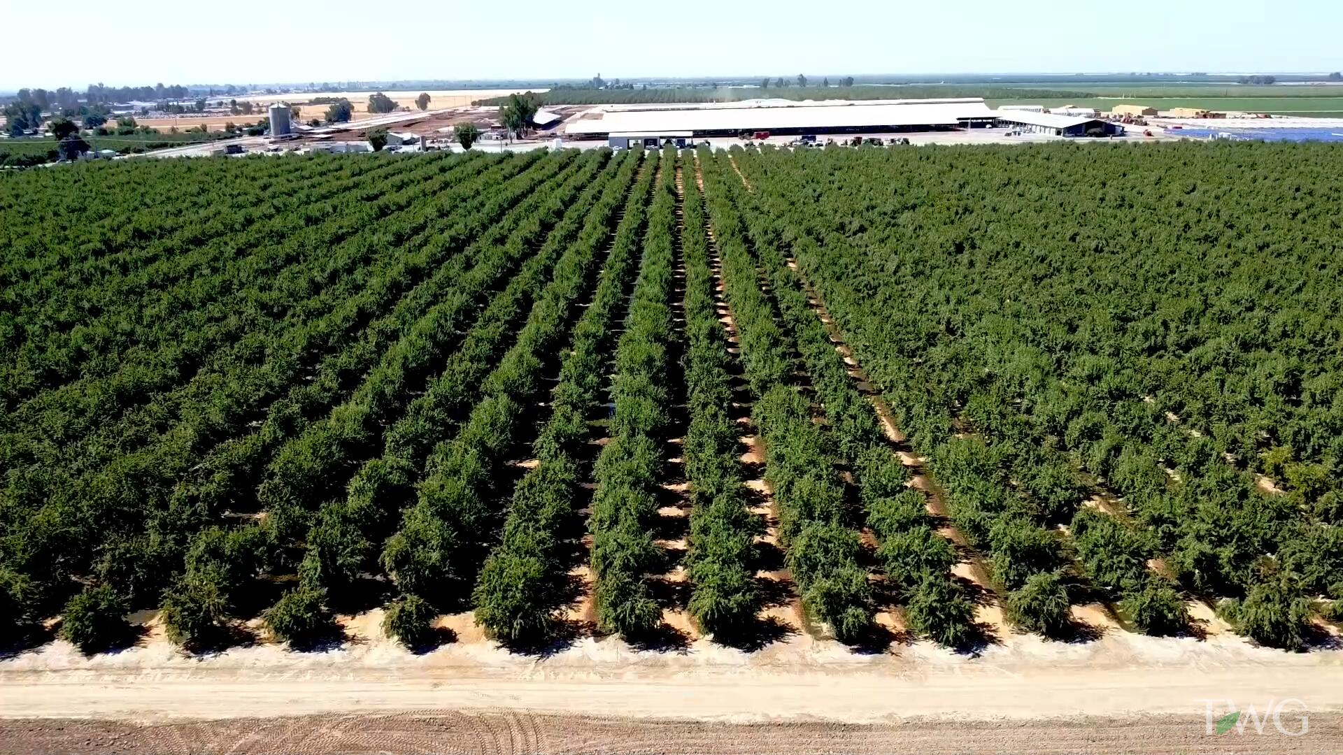 0 Rd 120, Pixley, CA 93256