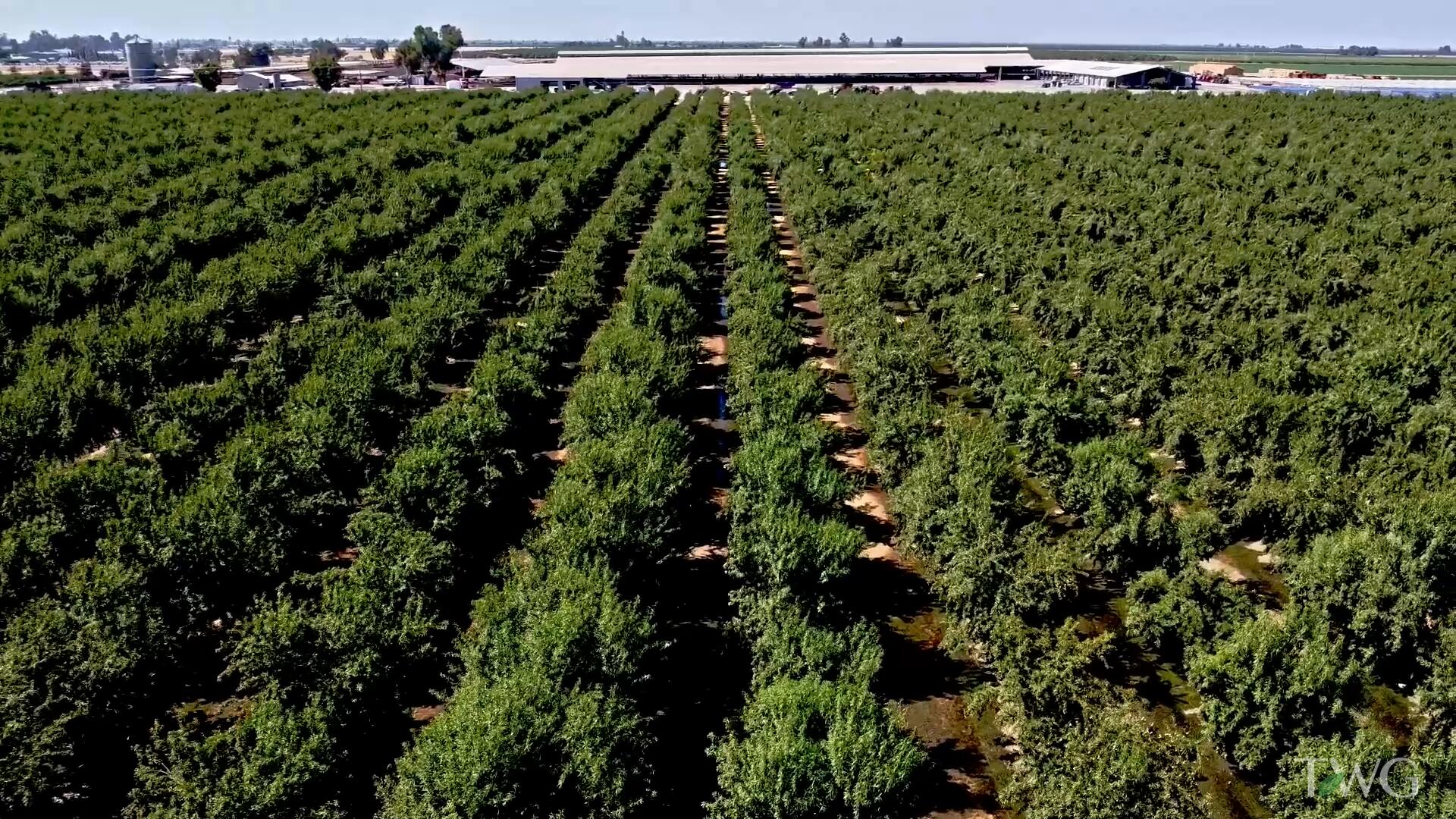 0 Rd 120, Pixley, CA 93256