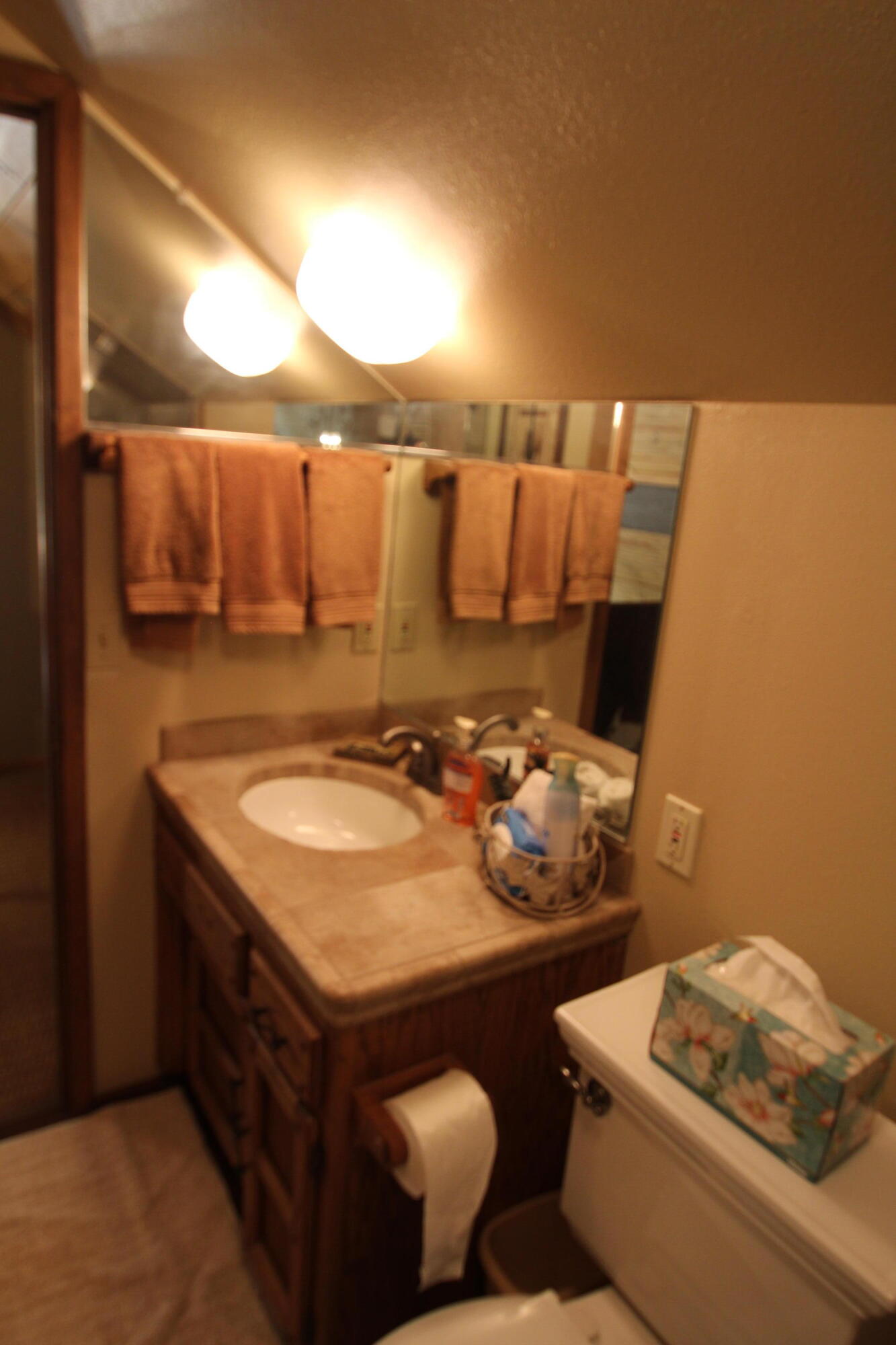 601 Linder Dr, Camp Nelson, CA 93265