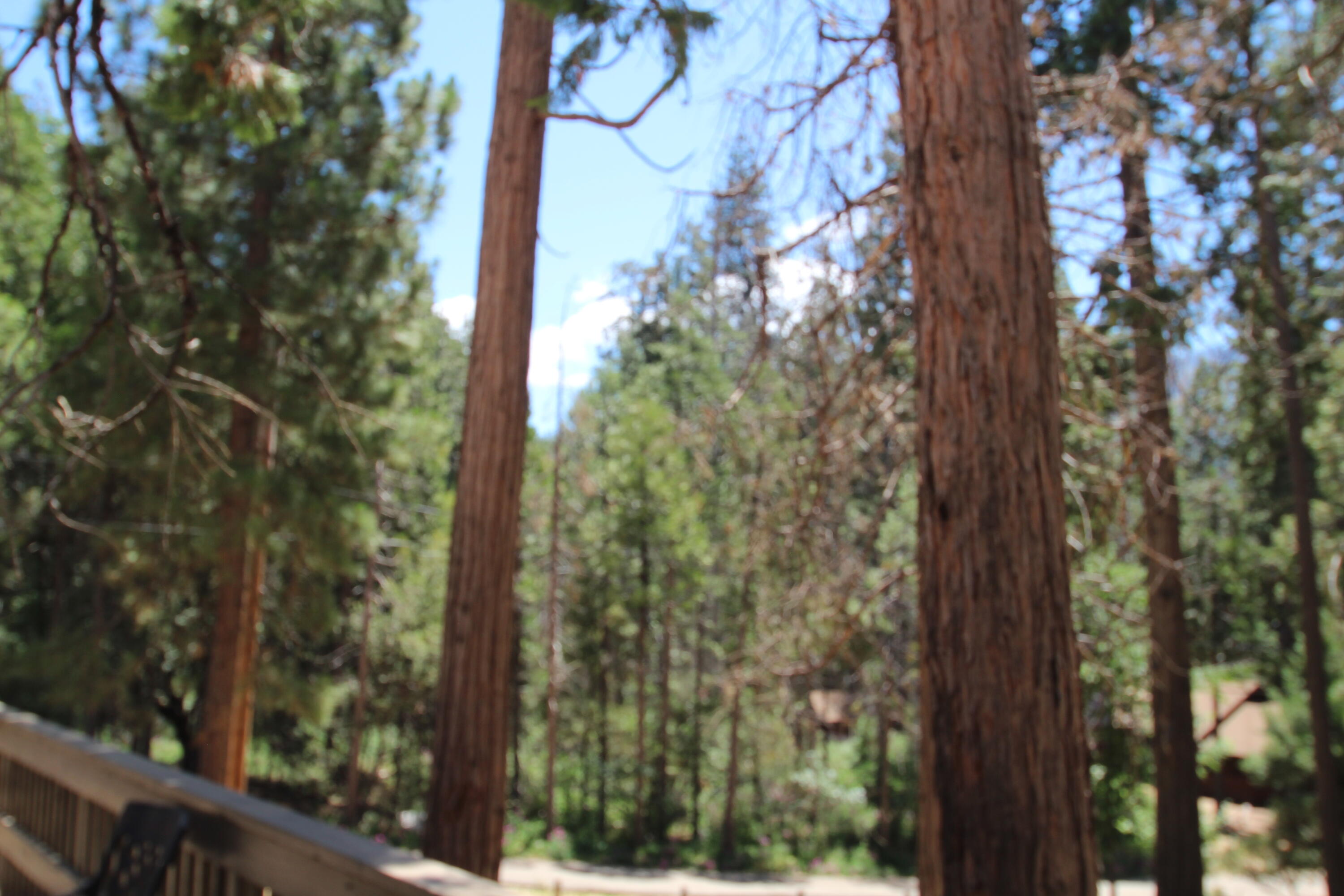 601 Linder Dr, Camp Nelson, CA 93265