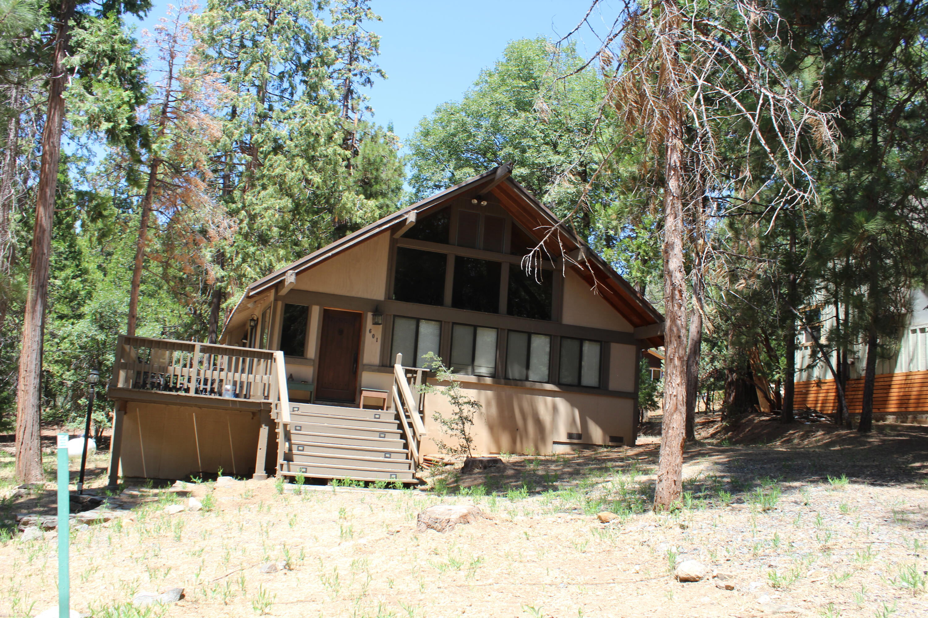 601 Linder Dr, Camp Nelson, CA 93265