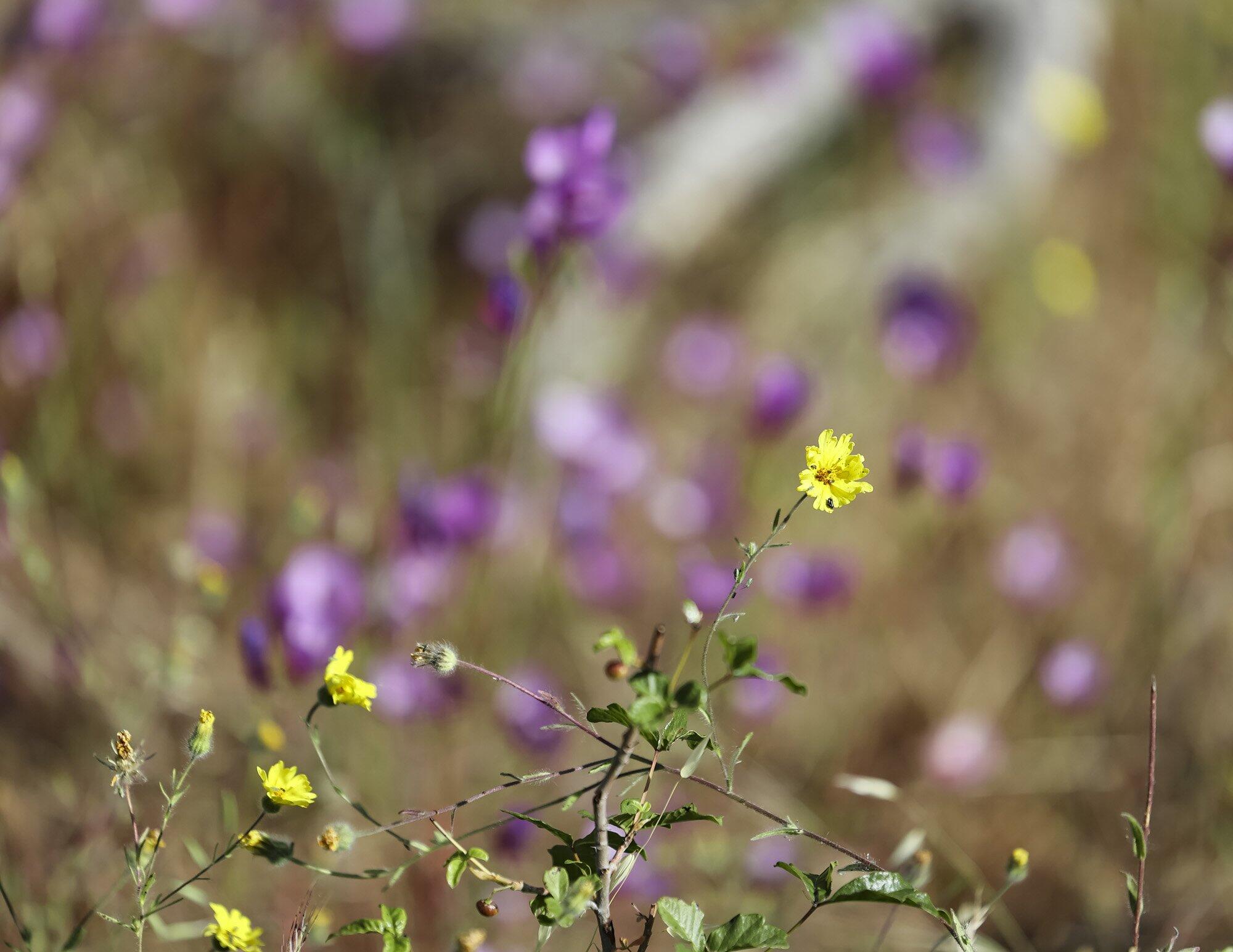 0 Ca-180, Yokuts Valley, CA 93675