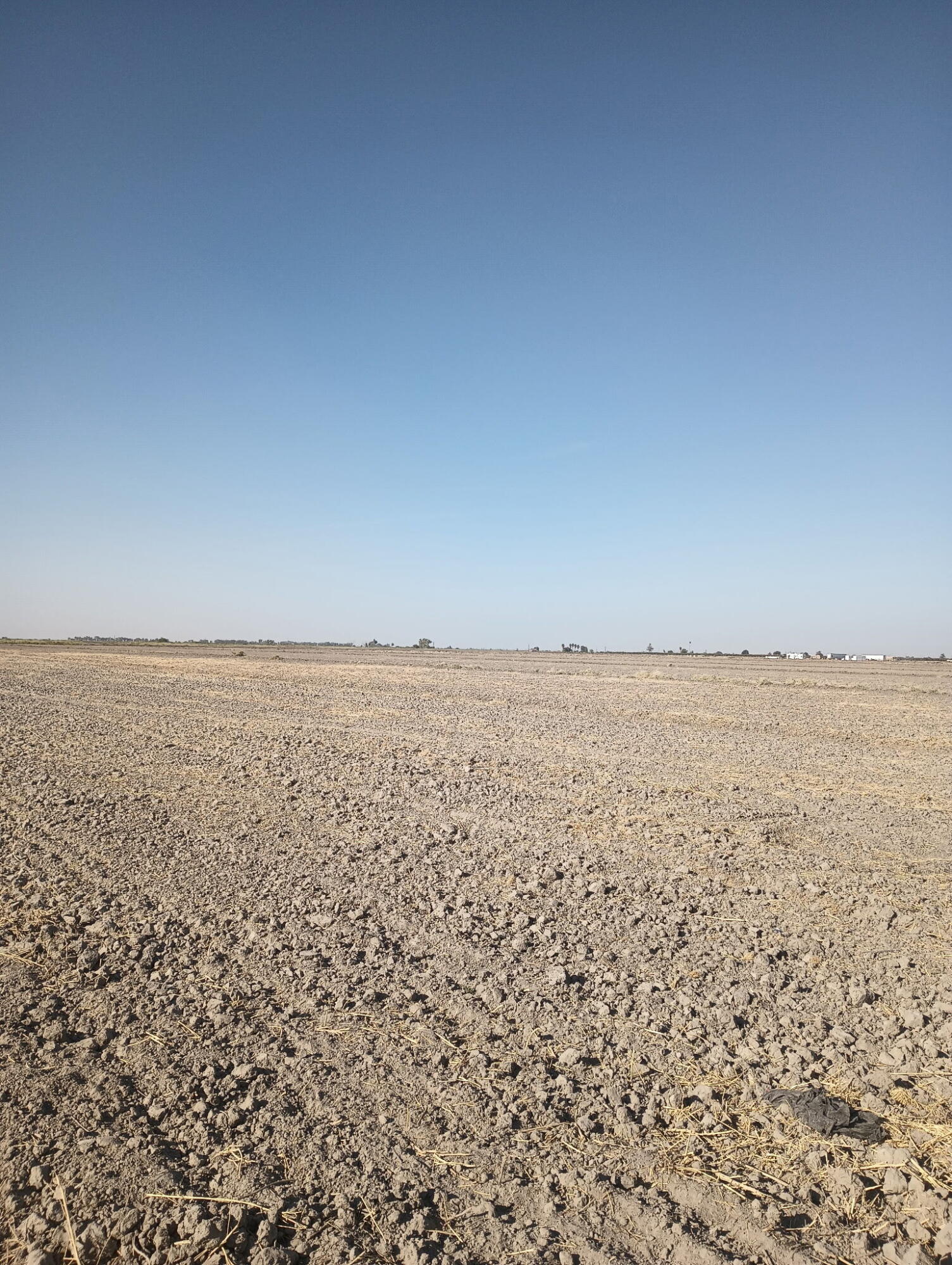 0 Ave 56, Alpaugh, CA 93201