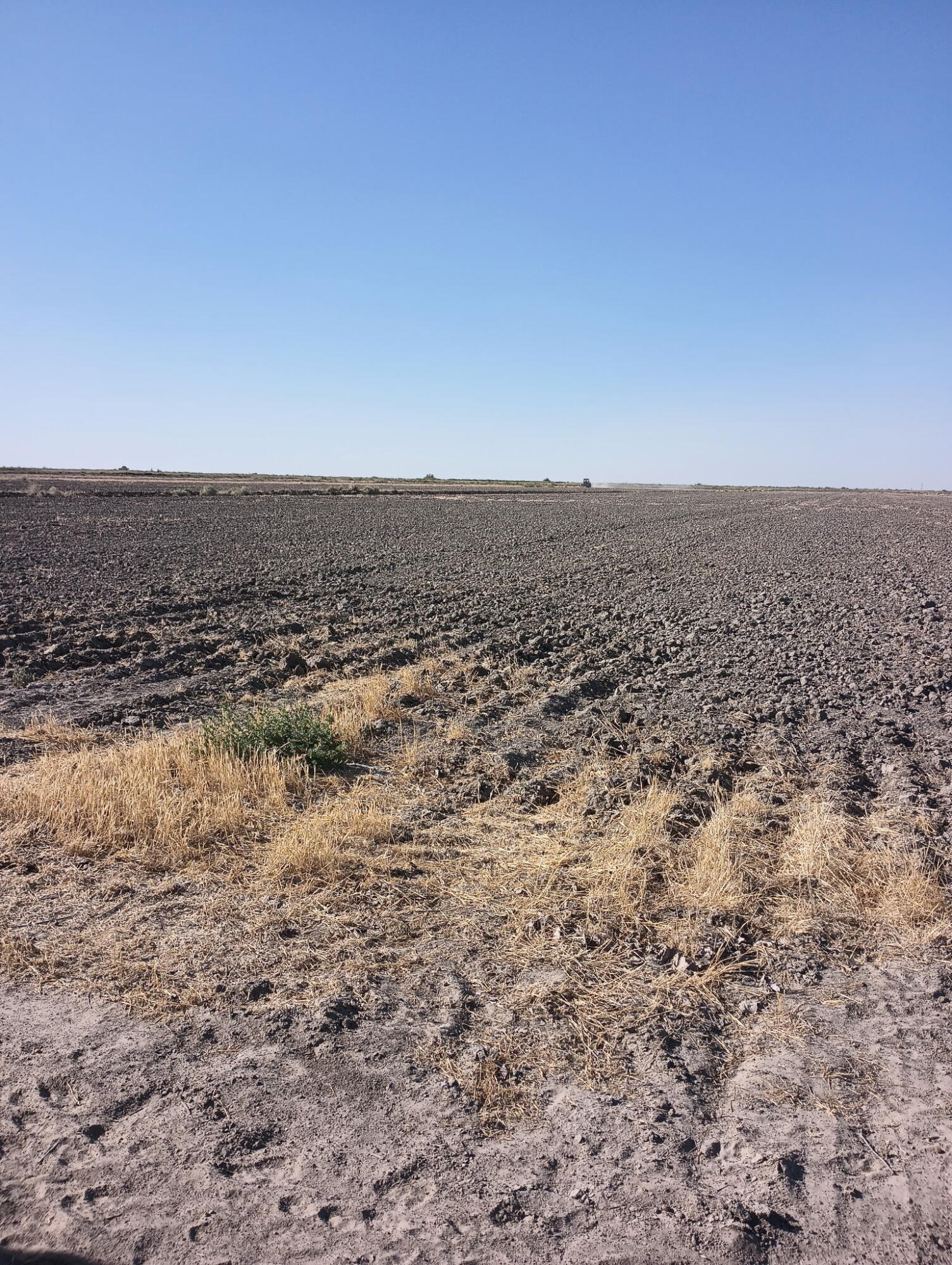 0 Ave 56, Alpaugh, CA 93201