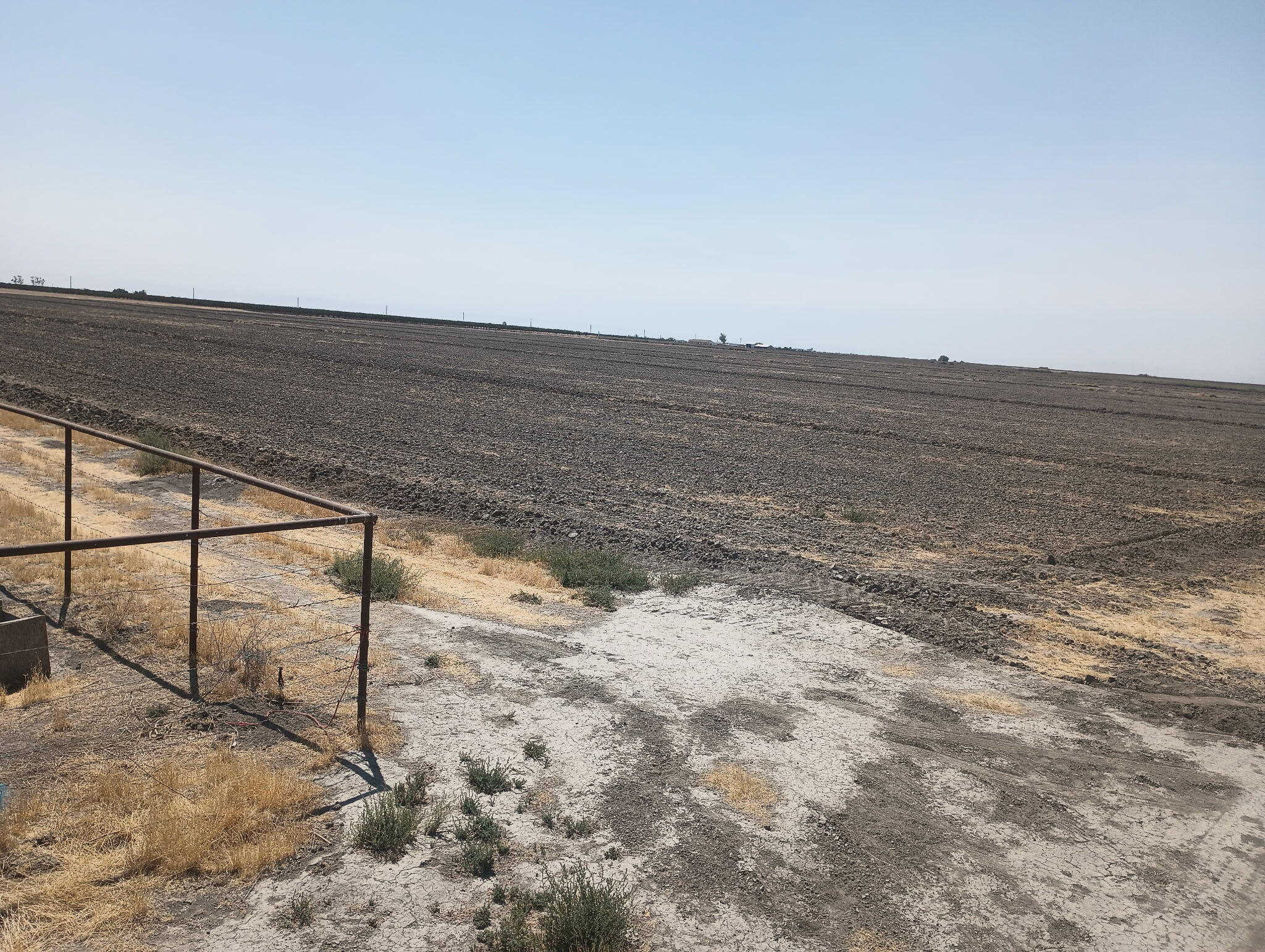 0 Ave 56, Alpaugh, CA 93201