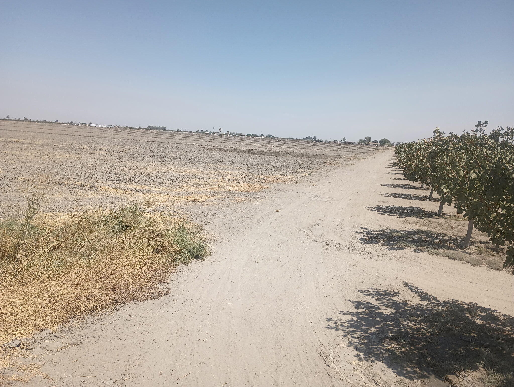 0 Ave 56 #2, Alpaugh, CA 93201