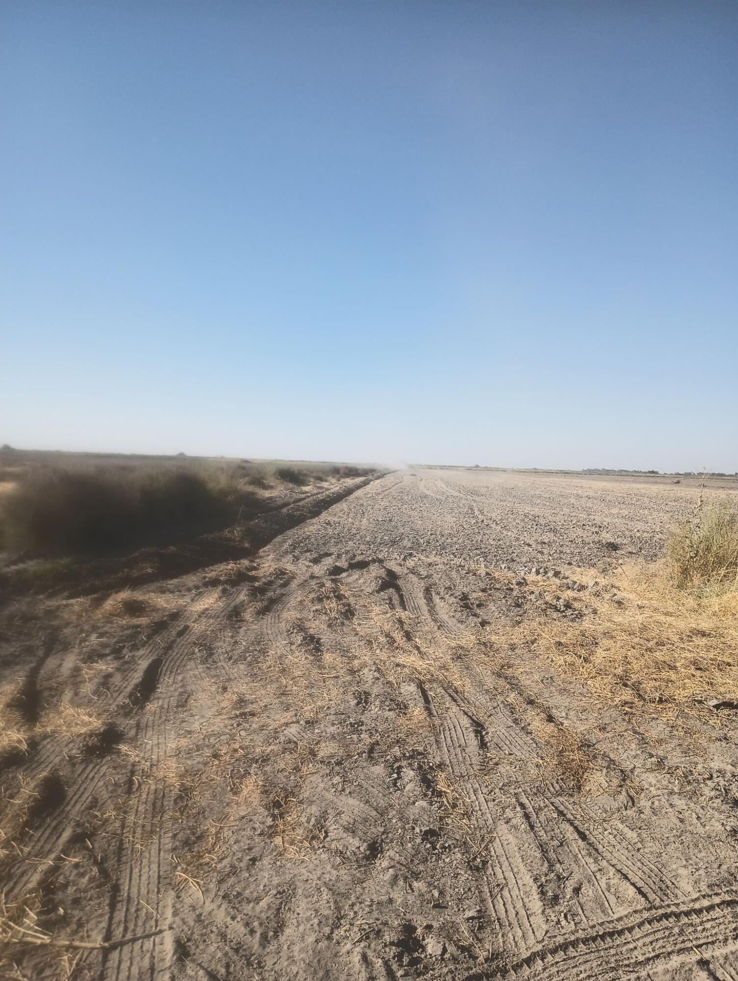 0 Ave 56 #2, Alpaugh, CA 93201