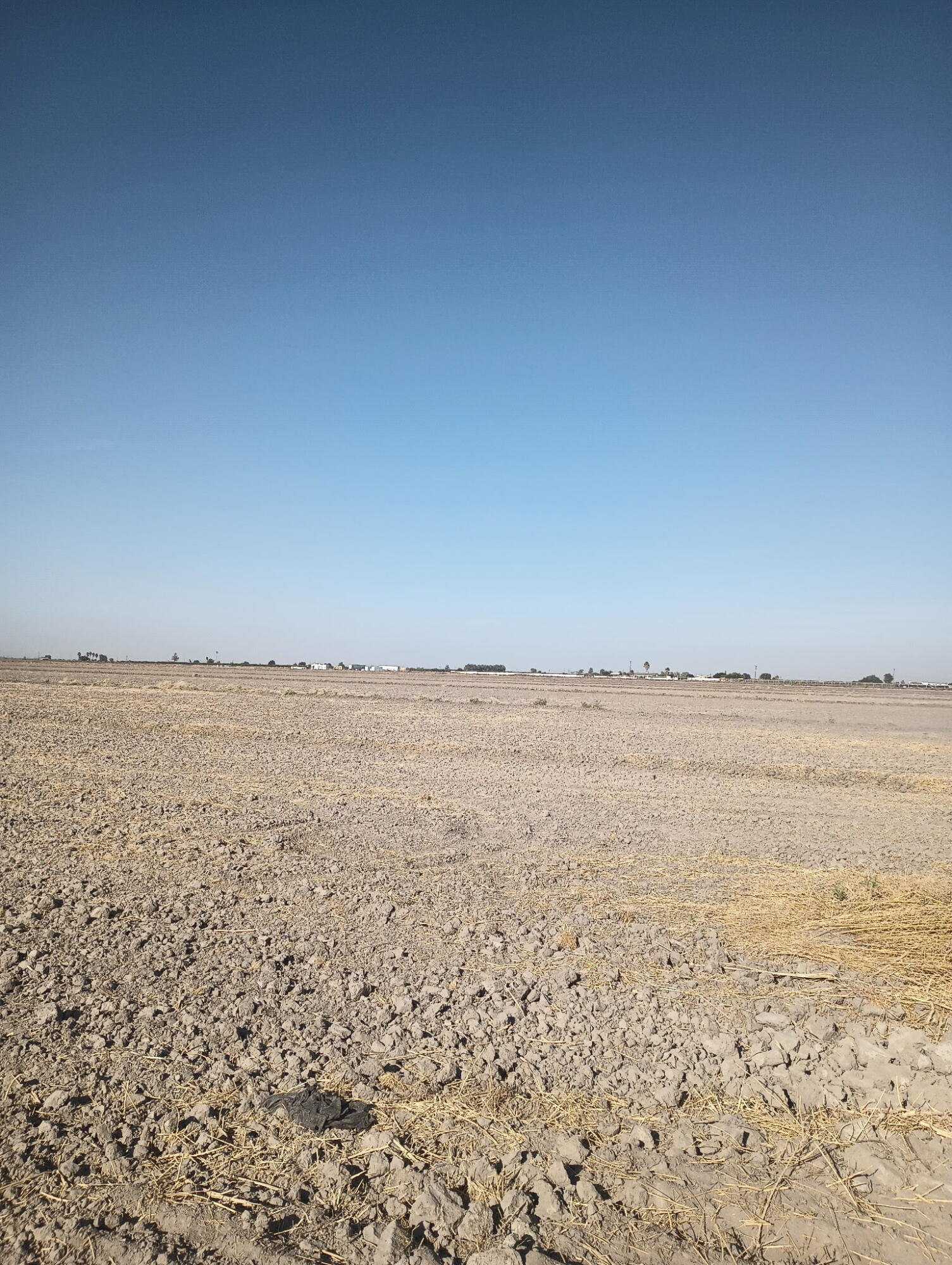 0 Ave 56 #2, Alpaugh, CA 93201