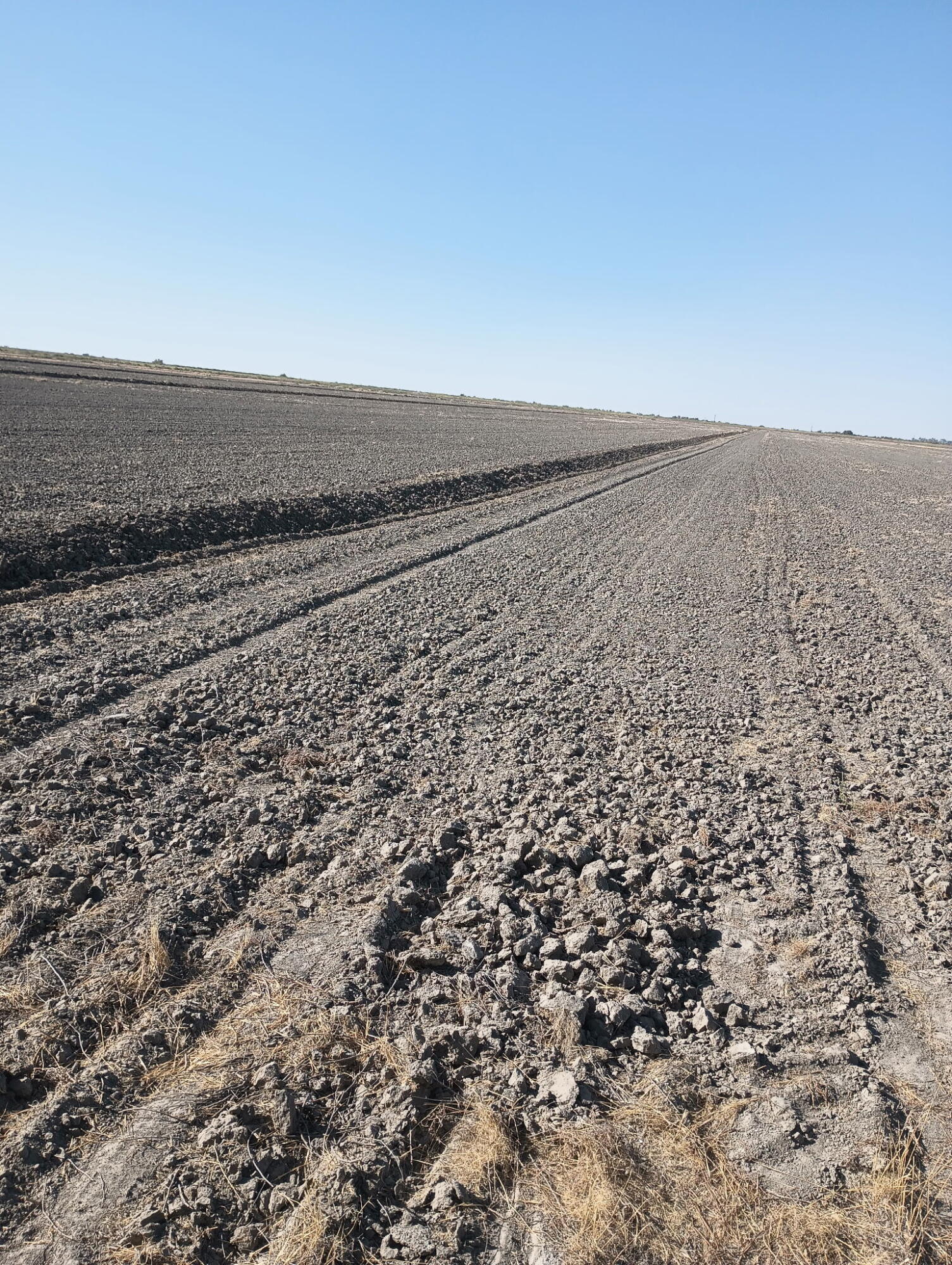 0 Ave 56 #2, Alpaugh, CA 93201