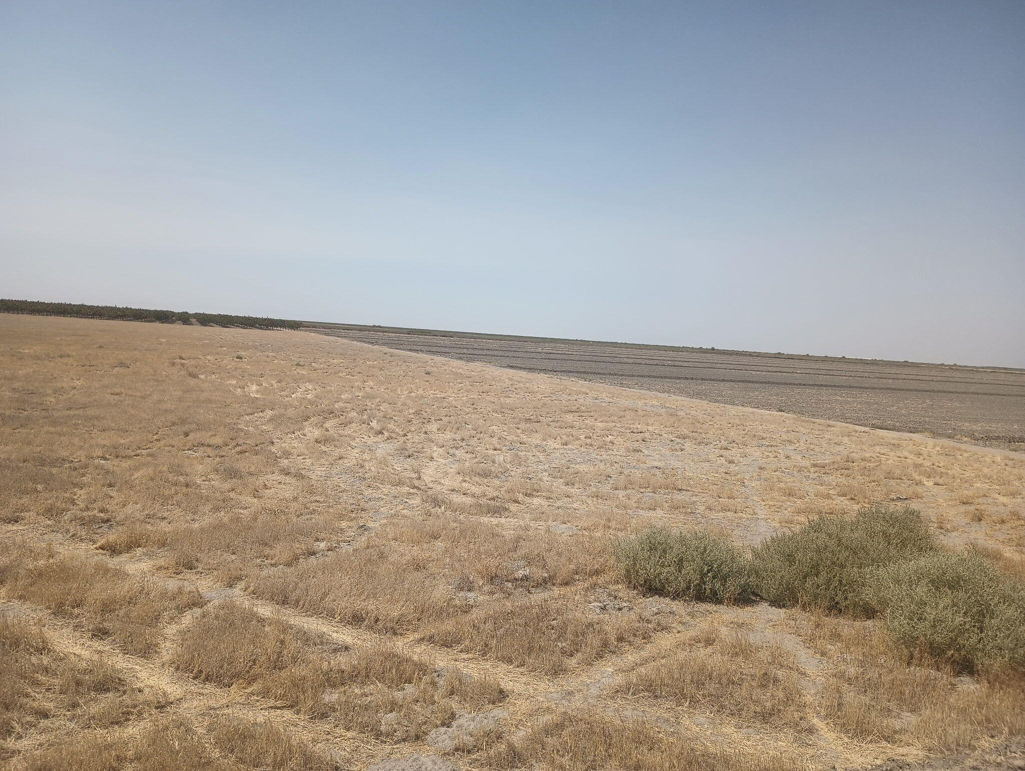 0 Ave 56 #2, Alpaugh, CA 93201