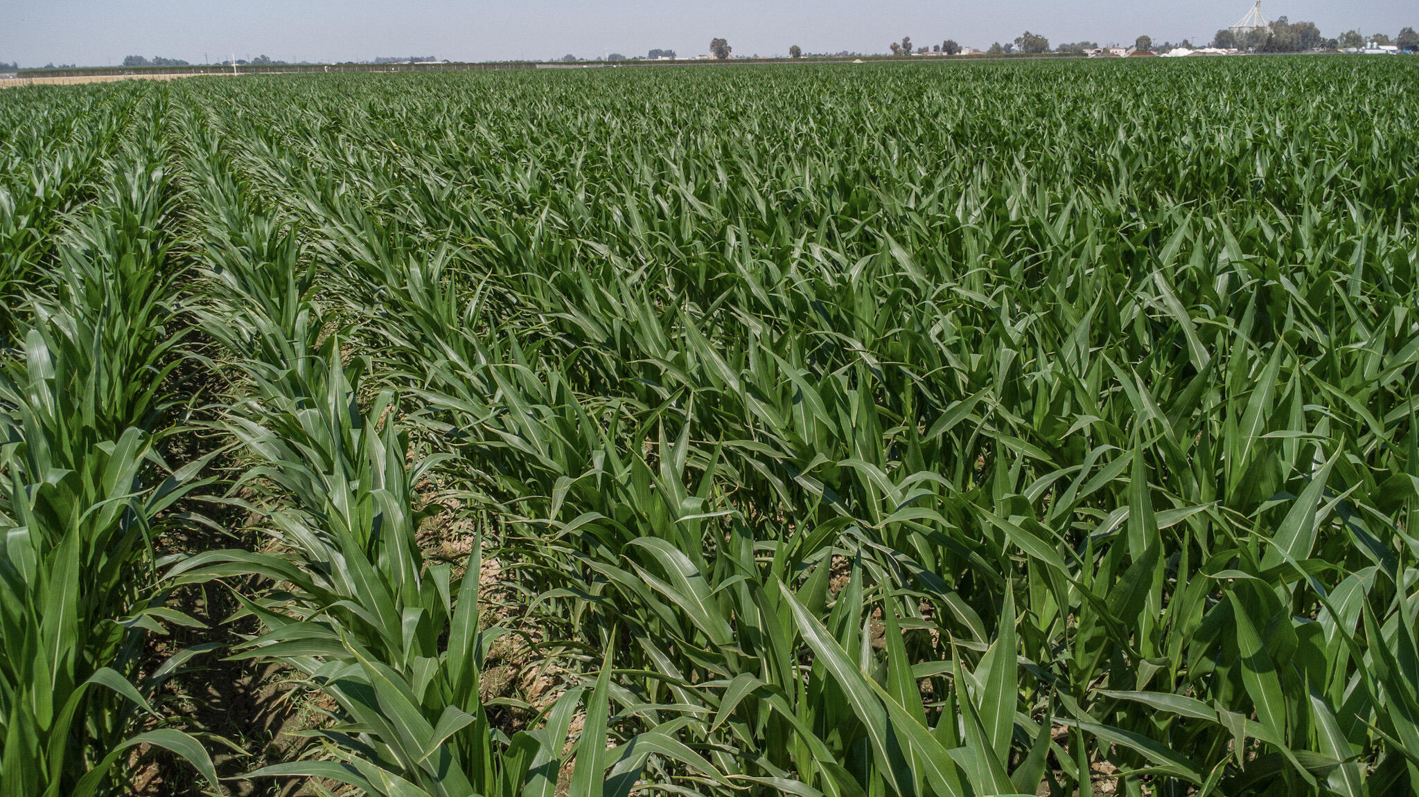 0 Houston Ave, Hanford, CA 93230