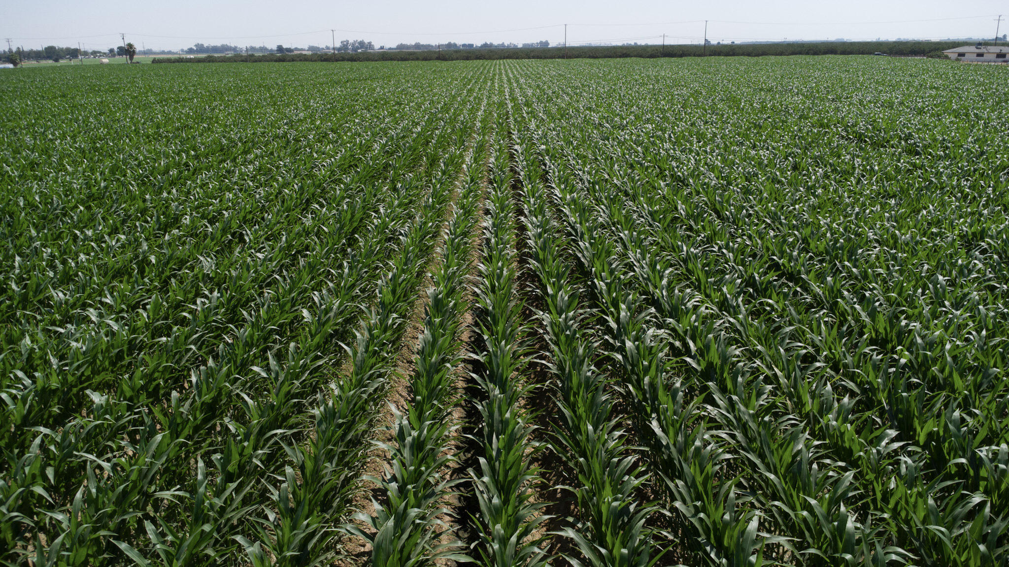 0 Houston Ave, Hanford, CA 93230