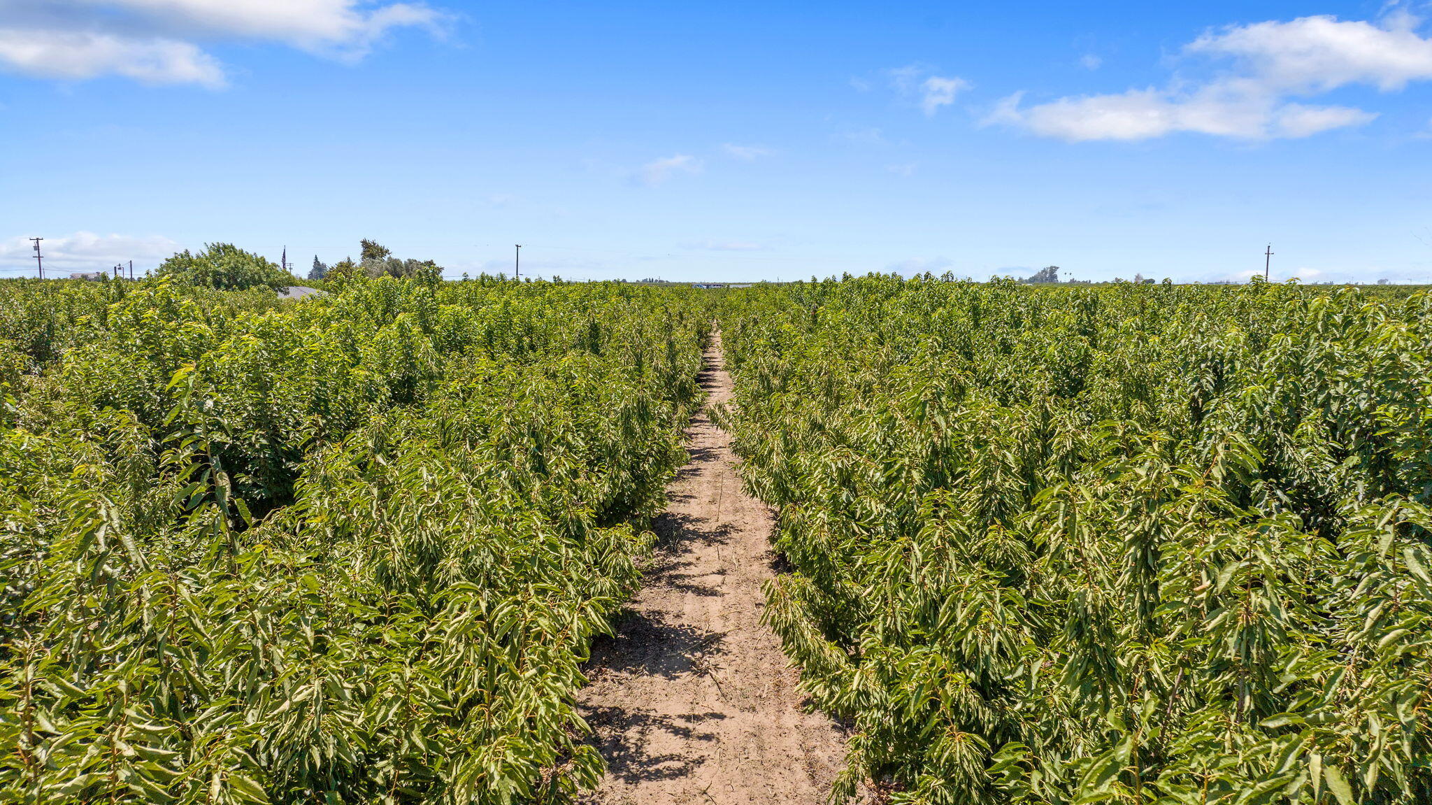 0 S Cherry Ave, Fresno, CA 93725