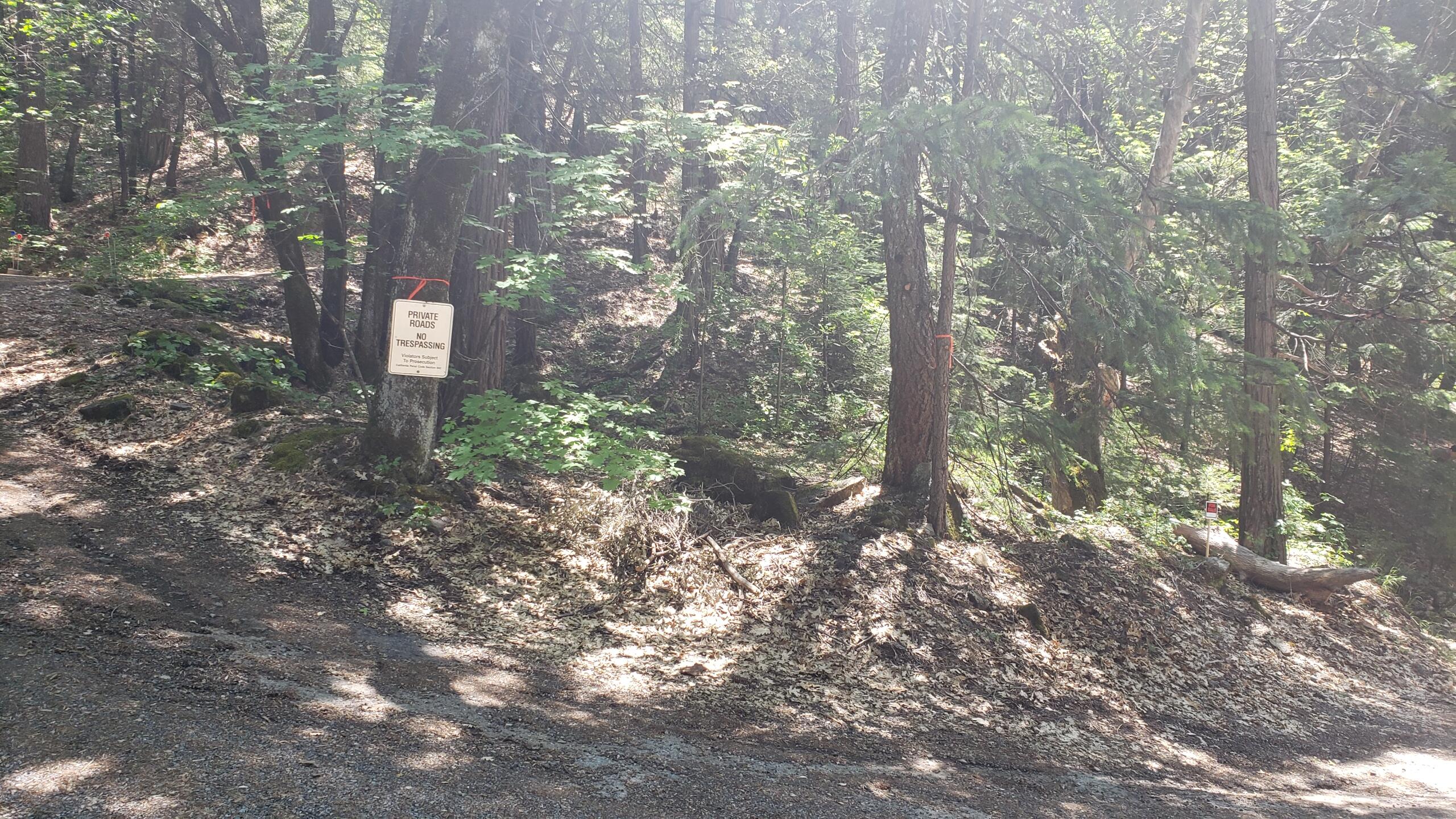 00 Upper River Ave St, Dunsmuir, CA 96025