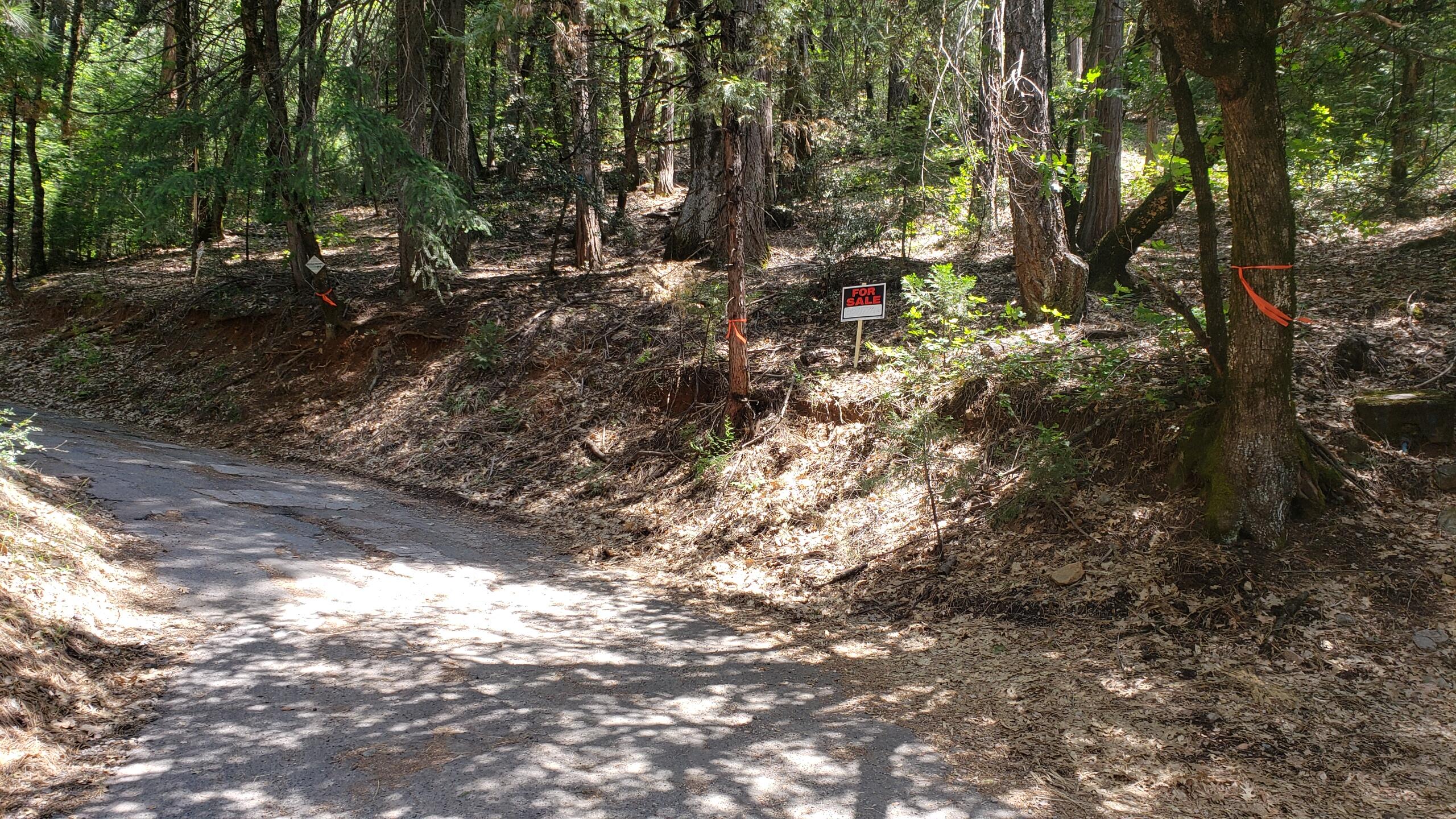 0 Upper River Ave, Dunsmuir, CA 96025